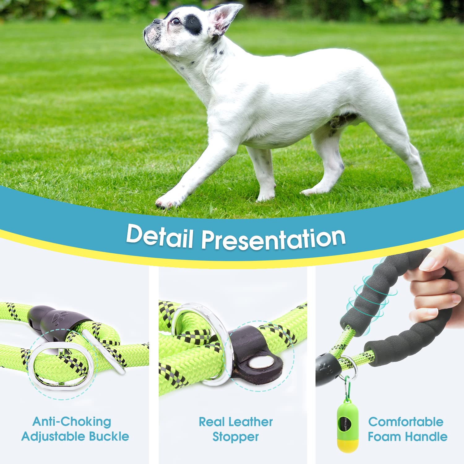 BAAPET 6 Feet Slip Lead Dog Leash - Anti-Choking, Durable Nylon, Comfortable Padded Handle, Green, for Large, Medium, Small Dogs