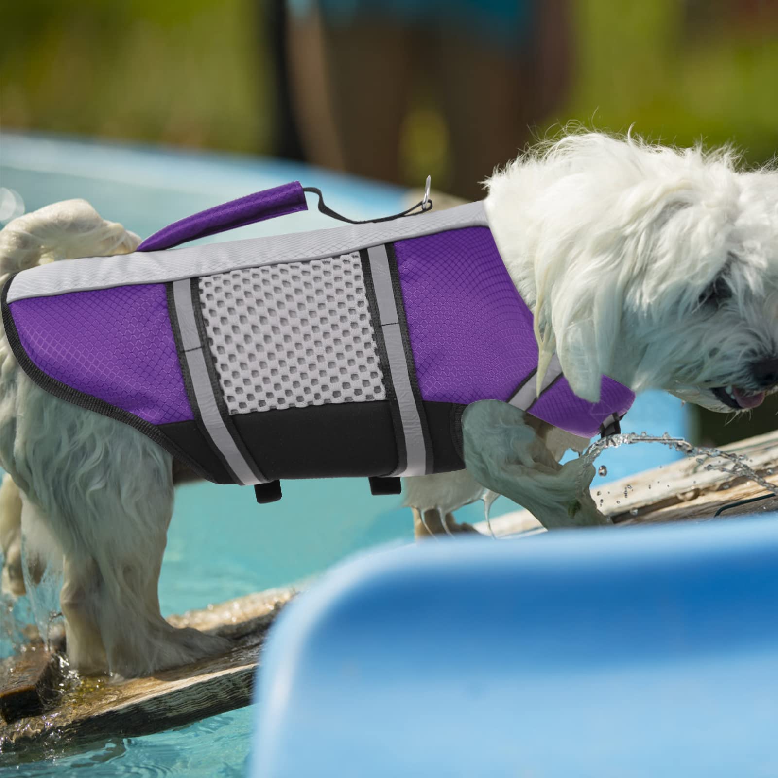 Dog Life Jacket Swimming Vest Lightweight High Reflective Pet Lifesaver With Lift Handle, Leash Ring Purple,Xs