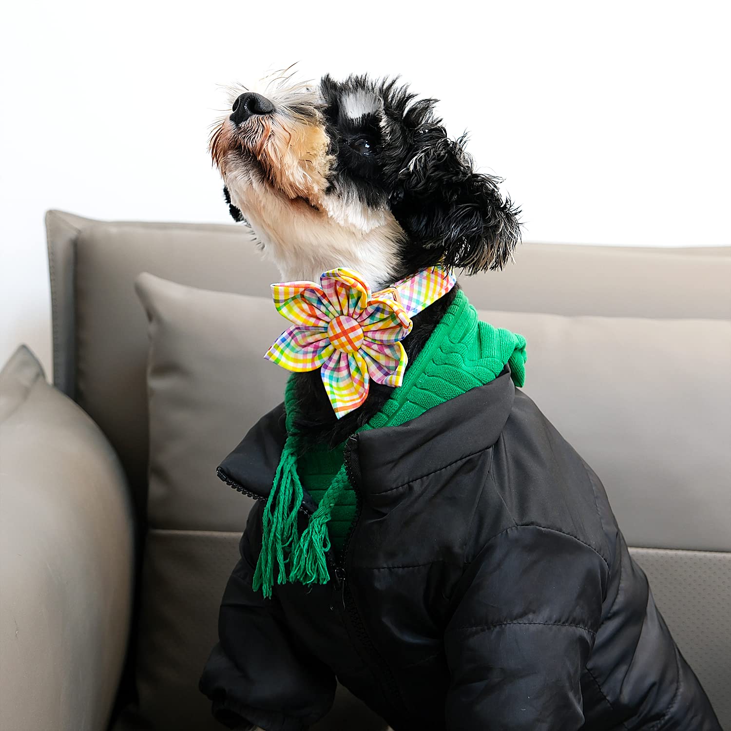 Lionet Paws Easter Dog Collar With Flower - Colorful Cute Cotton Flower Dog Cat Collar With Metal Buckle For Puppy Girl Gift, Xs, Neck 8-12In