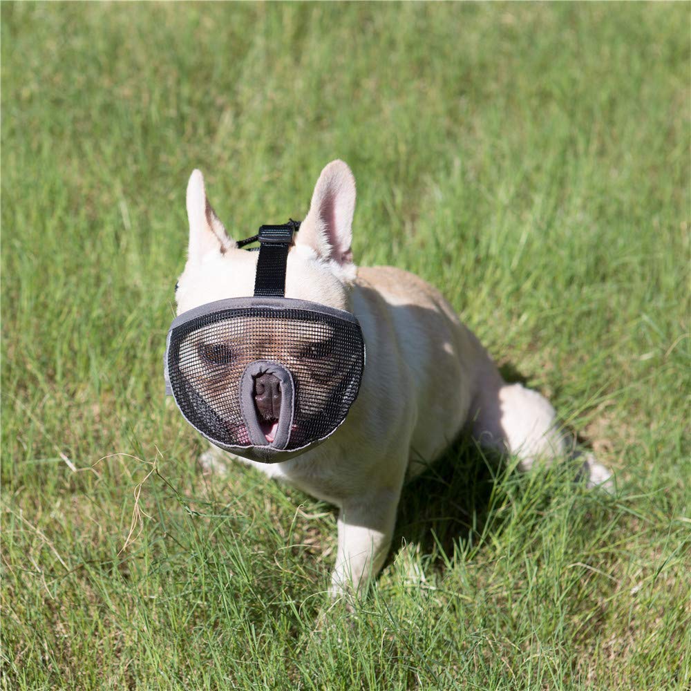 Jyhy Short Snout Dog Muzzle- Adjustable Breathable Mesh Bulldog Muzzle For Biting Chewing Licking Grooming Dog Mask,Grey S