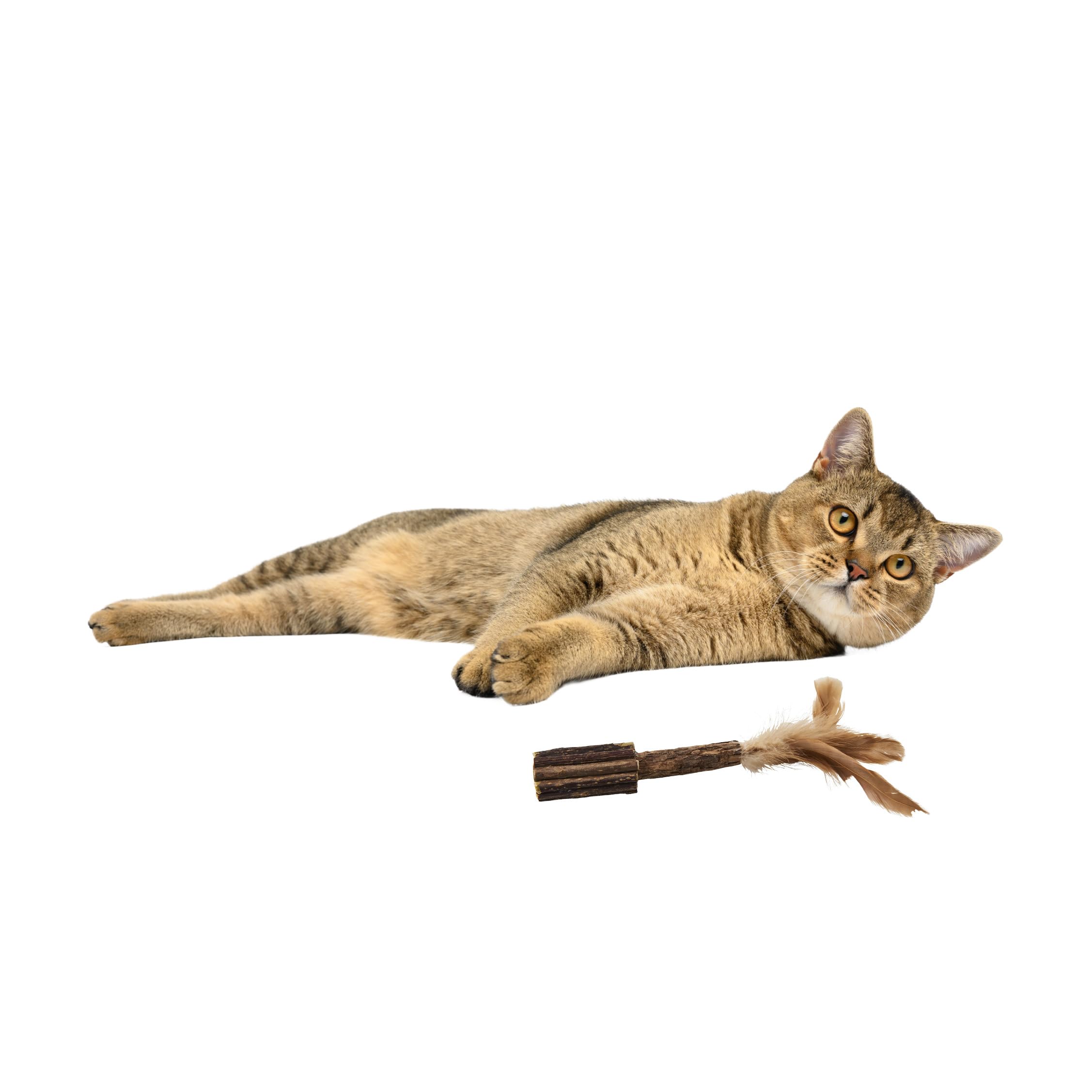 Ethical Pet Products 68052152: Toy Cat Silver Vine Md