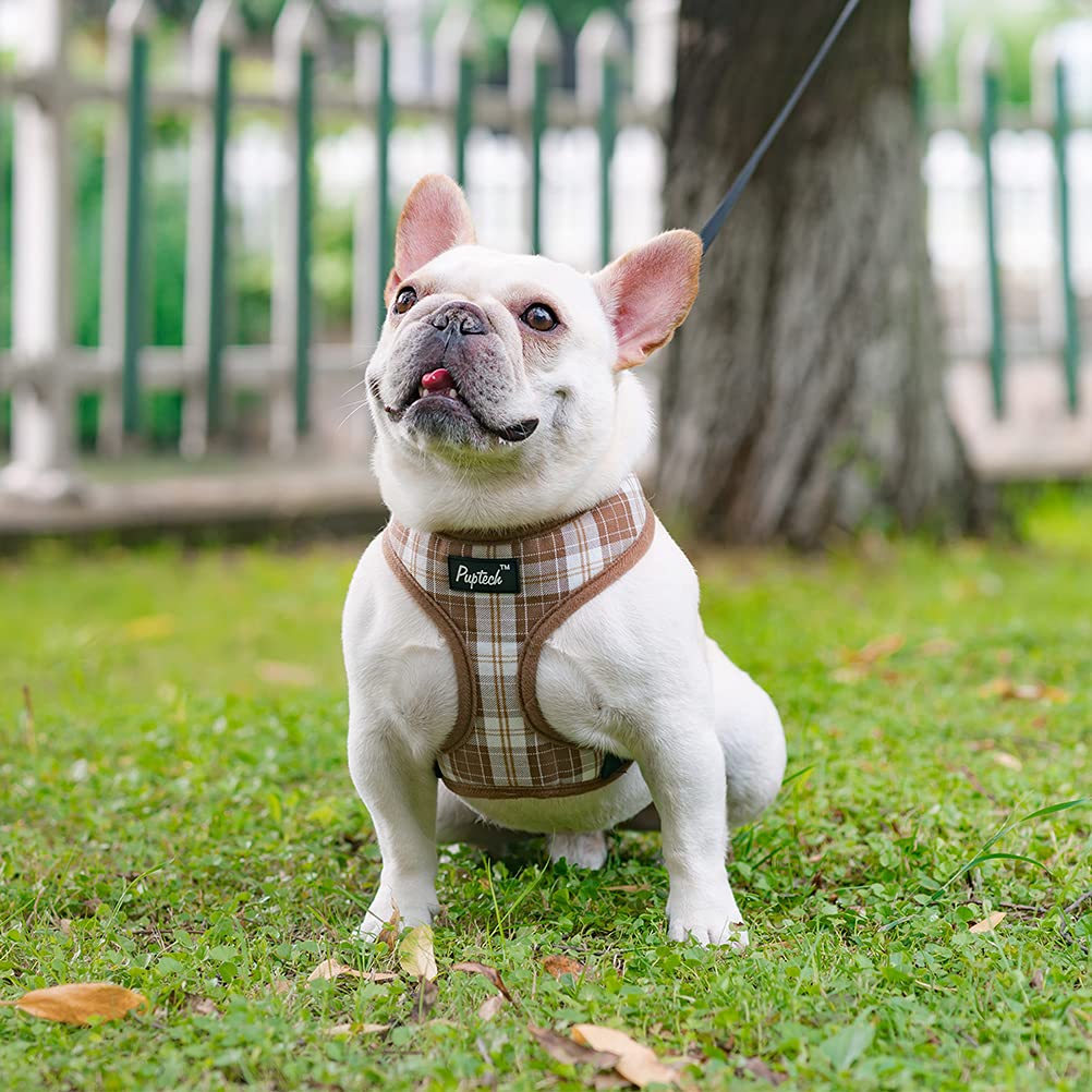 Pupteck Soft Mesh Dog Harness And Leash Set Pet Puppy Cat Comfort Padded Vest No Pull Harnesses, Brown, S