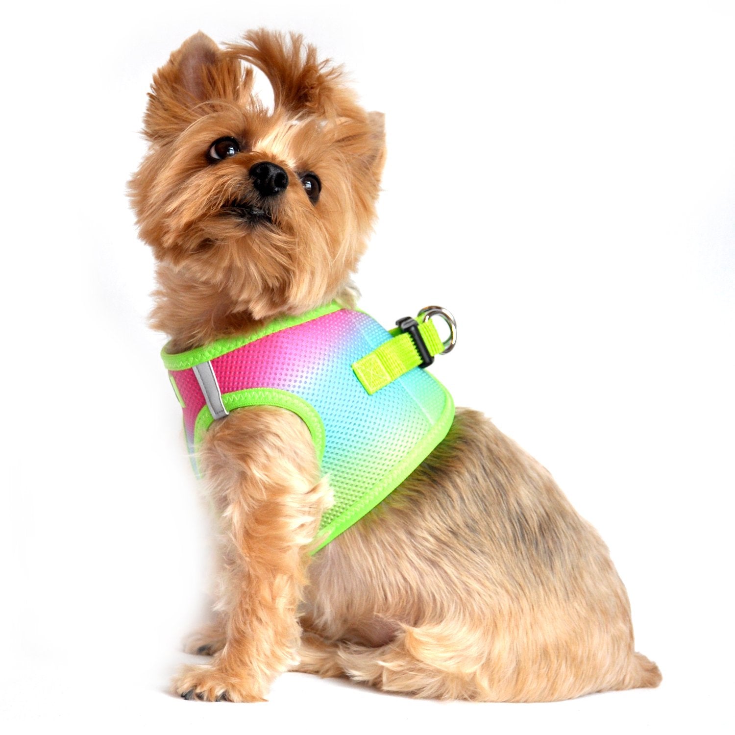 Doggie Design No Choke Dog Harness - Simple Step-In And Go Dog Vest For Small, Medium, And Large Breeds - Breathable Mesh Polyester Pet Harness - Rainbow - Xl