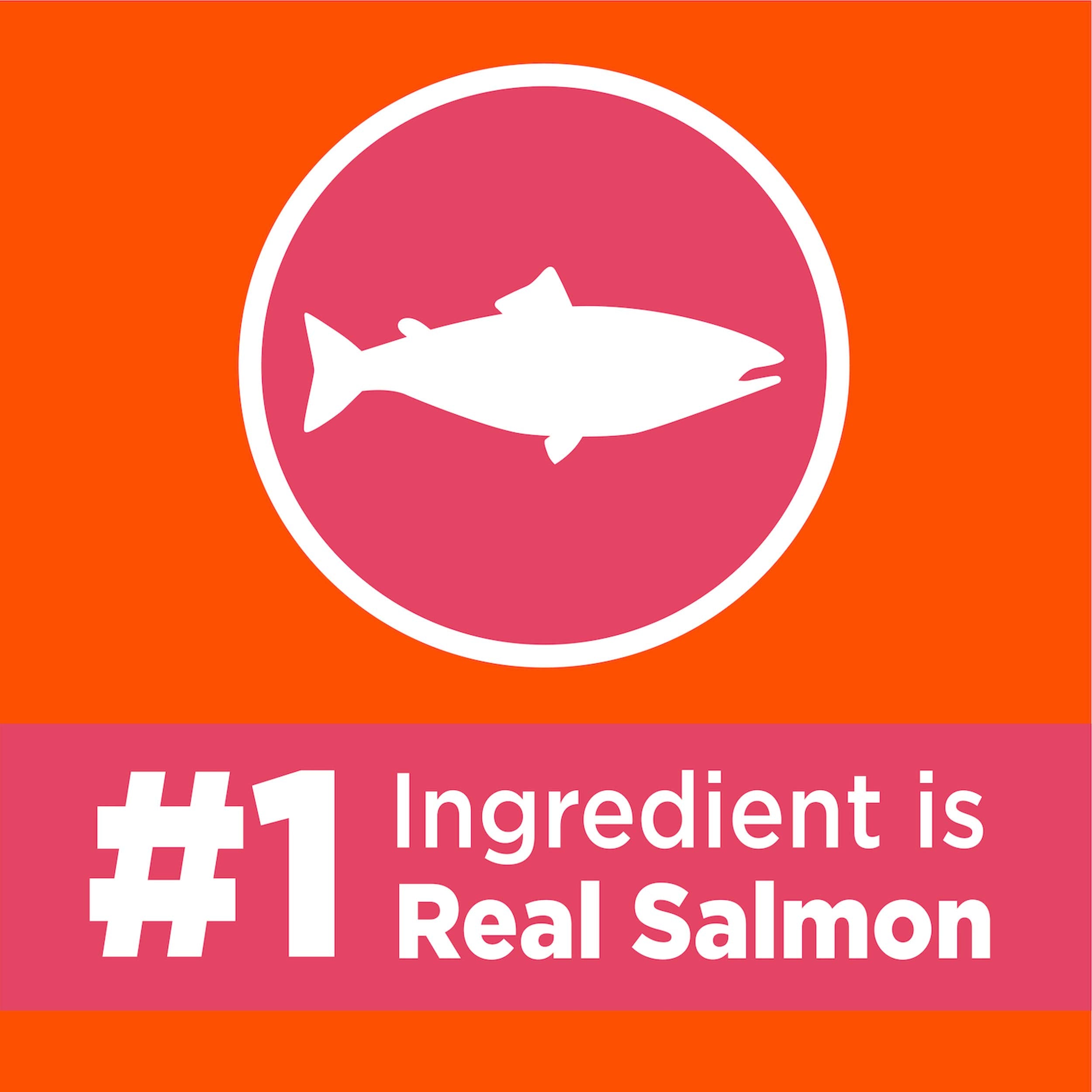 IAMS Proactive Health Adult Healthy Dry Cat Food with Salmon, 16 lb. Bag