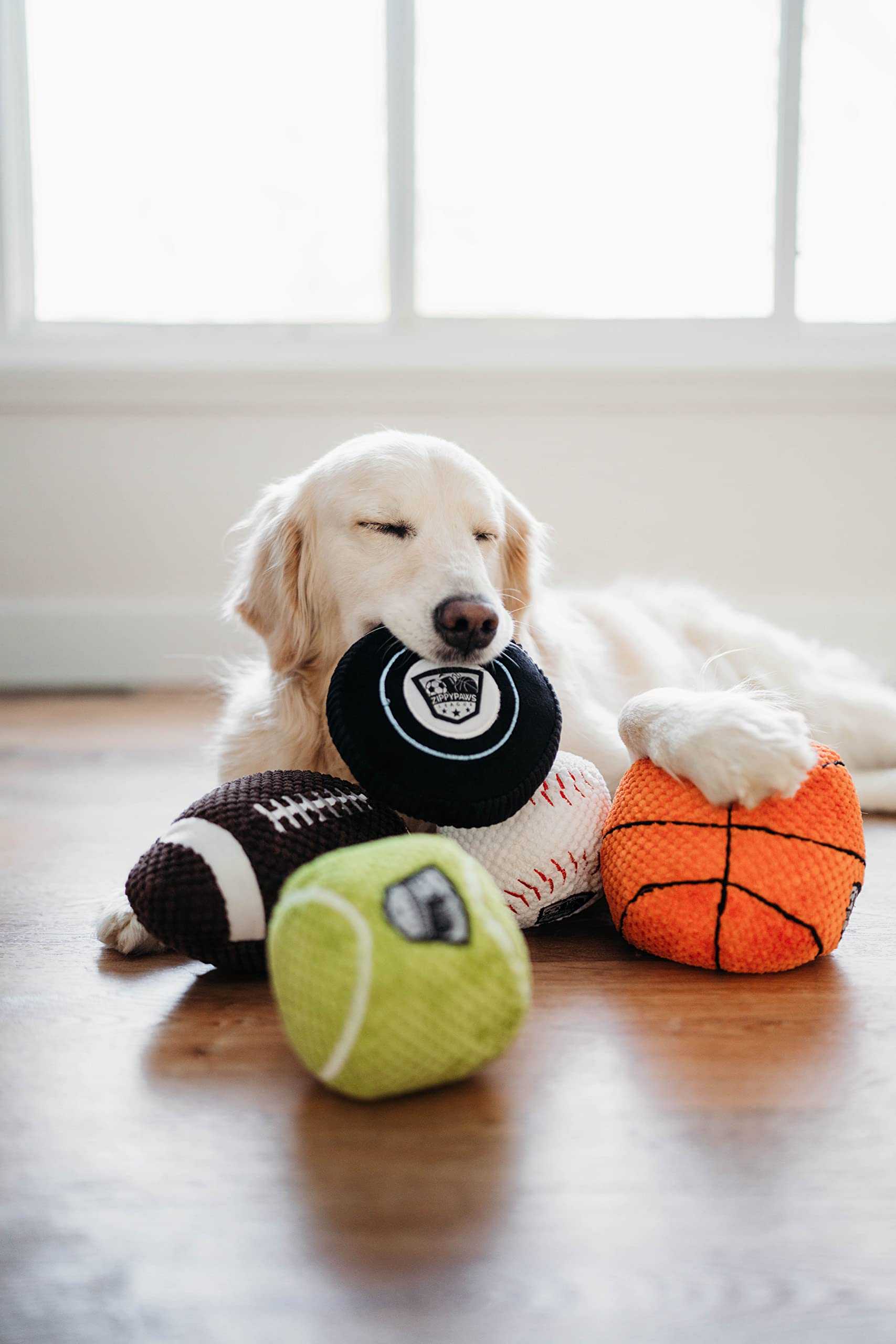 Zippypaws Sportsballz - Plush Tennis Ball Dog Toy, Soft Squeaky Balls For Dogs, Indoor & Outdoor Puppy Fetch Toys For Small, Medium, & Large Dogs, Stuffed Plushie Play Toy Balls For Puppies