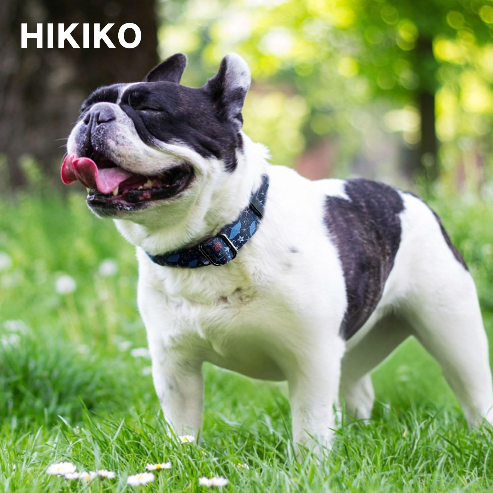 Hikiko Martingale Collar For Dogs With No Buckle Starfish Blue Dog Collars For Large Dogs,Submarine,L