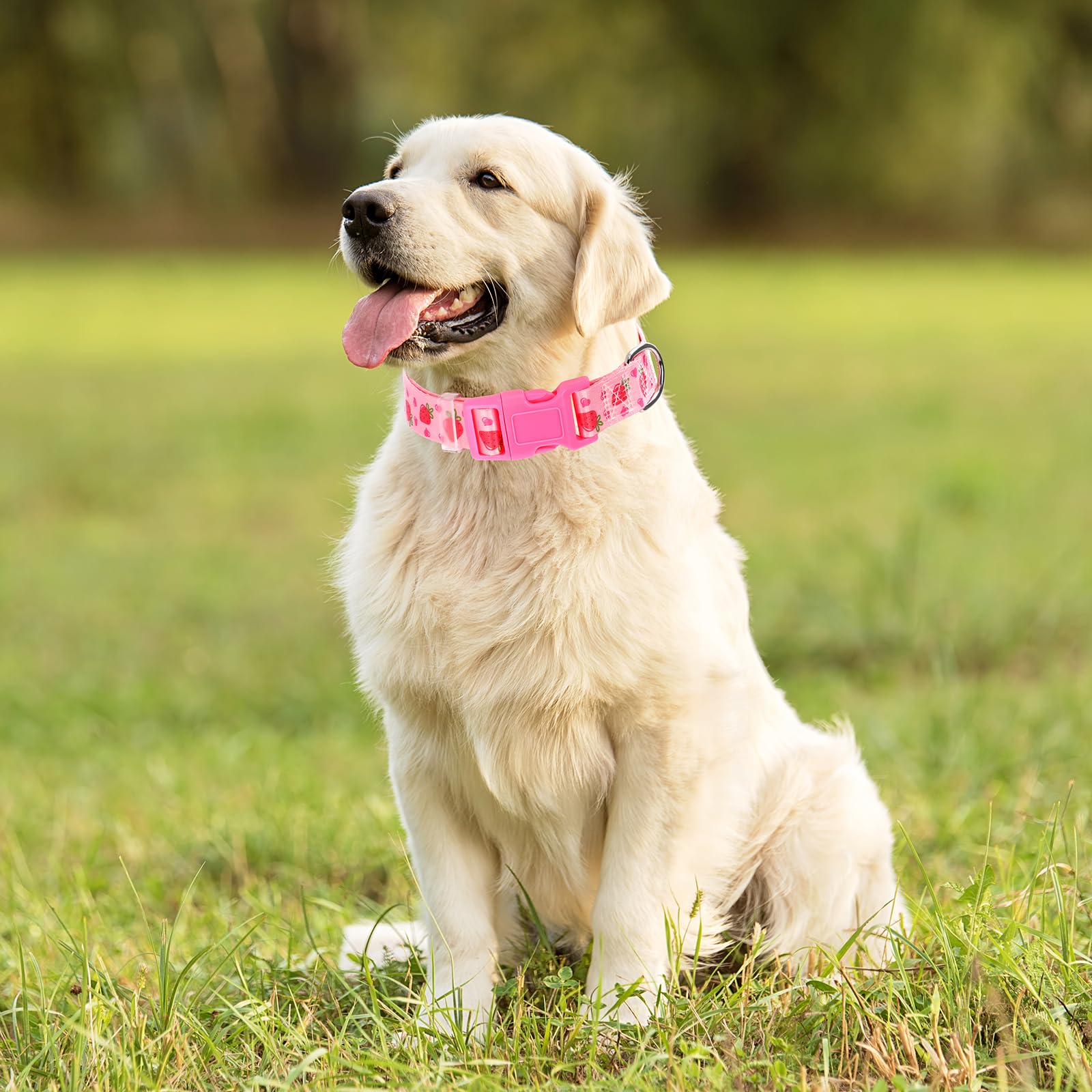 Onefojojo Dog Collar - Cute Pink Strawberry Design, Soft Nylon Adjustable Collar For Xl Dogs, Quick-Release Buckle, Durable Pet
