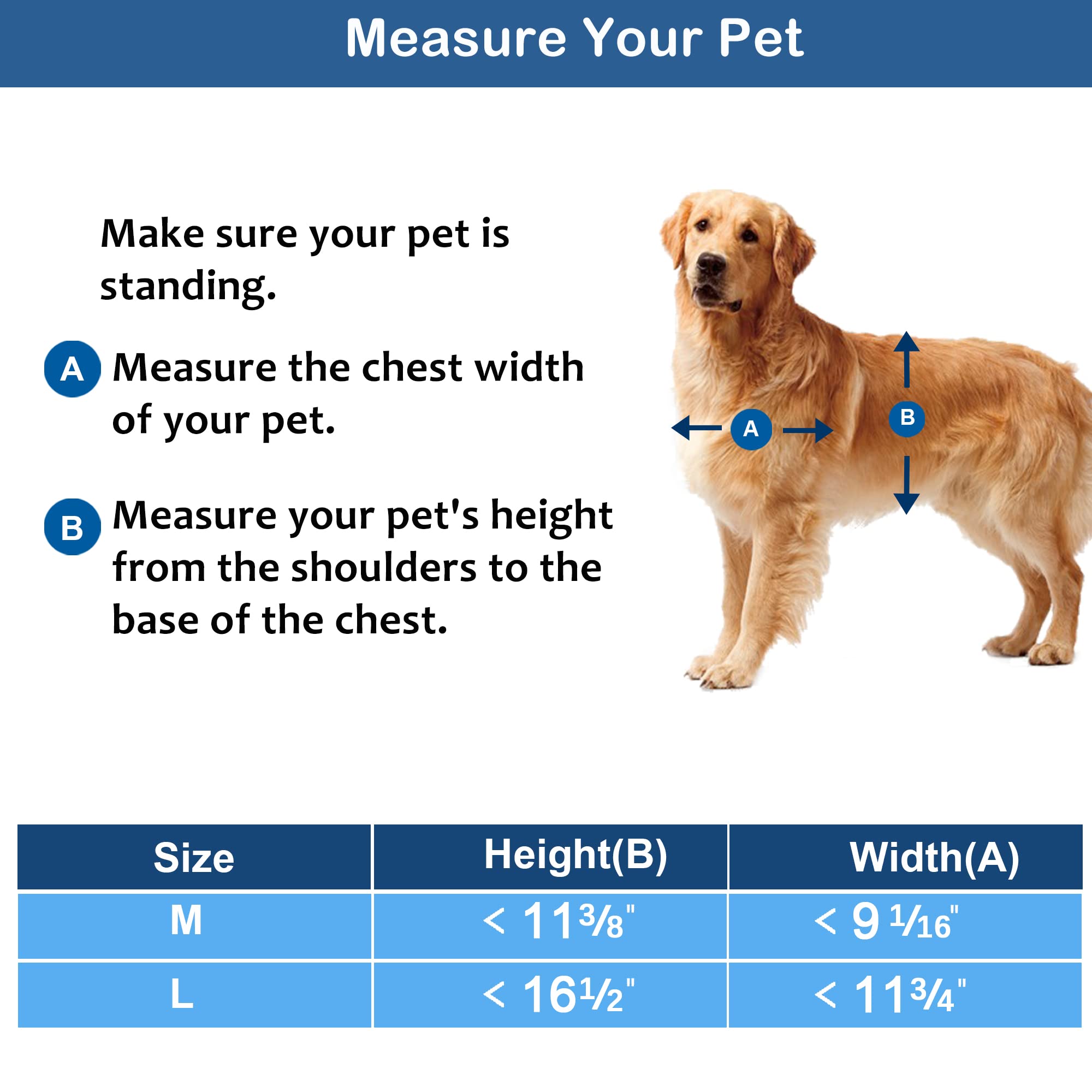 CEESC Medium Dog Door for Pets Up to 45 lb, Weatherproof, Durable, White, Snap-in Closing Panel