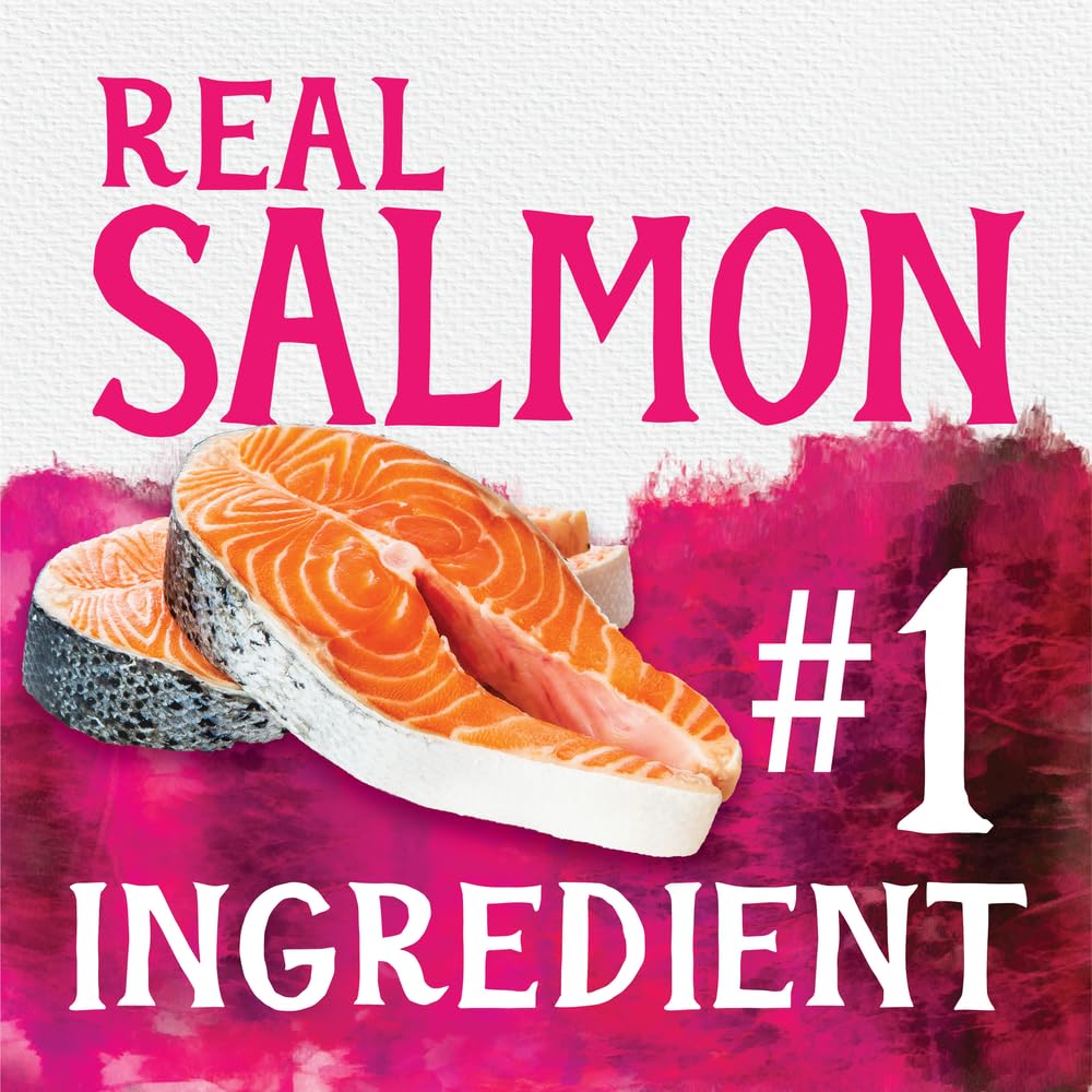 Triumph Free Spirit Grain Free Salmon and Vegetable Recipe Jerky Bites Soft Dog Treats, 20 Ounce (Pack of 2)