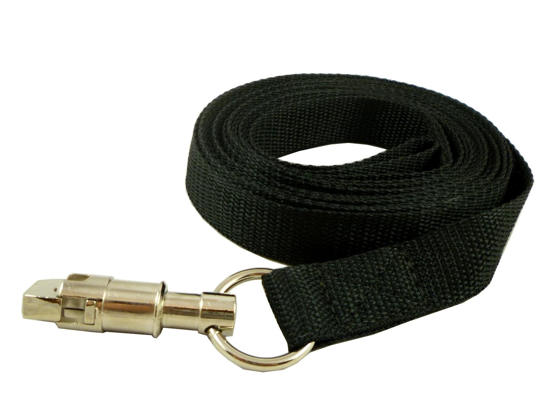 Dog Leash 1' Wide Nylon 6 Feet Long For Training Secure Locking Snap