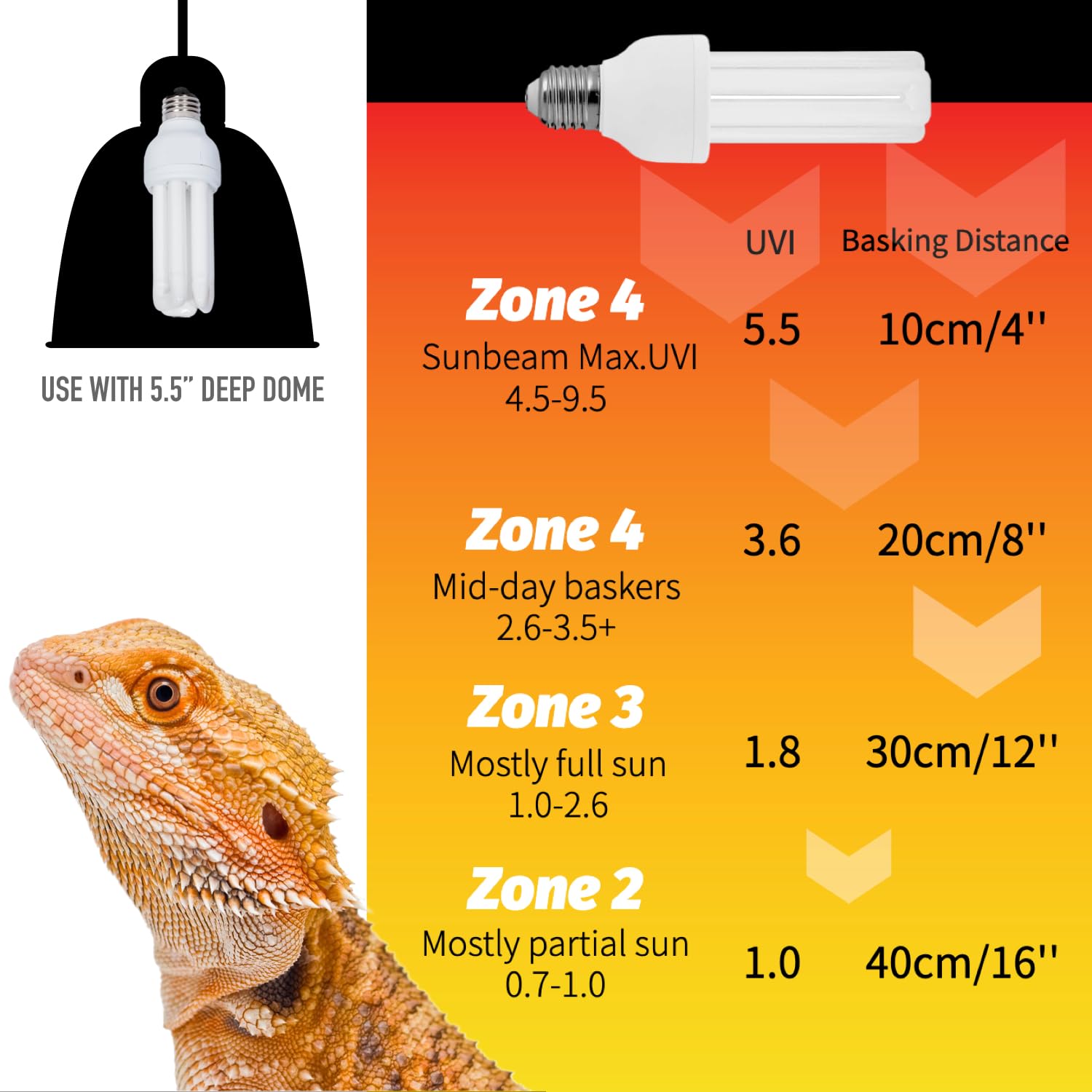 MRREPTILE UVB Reptile Light 13W 10.0 Bulb for Bearded Dragons - Glass, 5.0 UVB, Model MUB1305