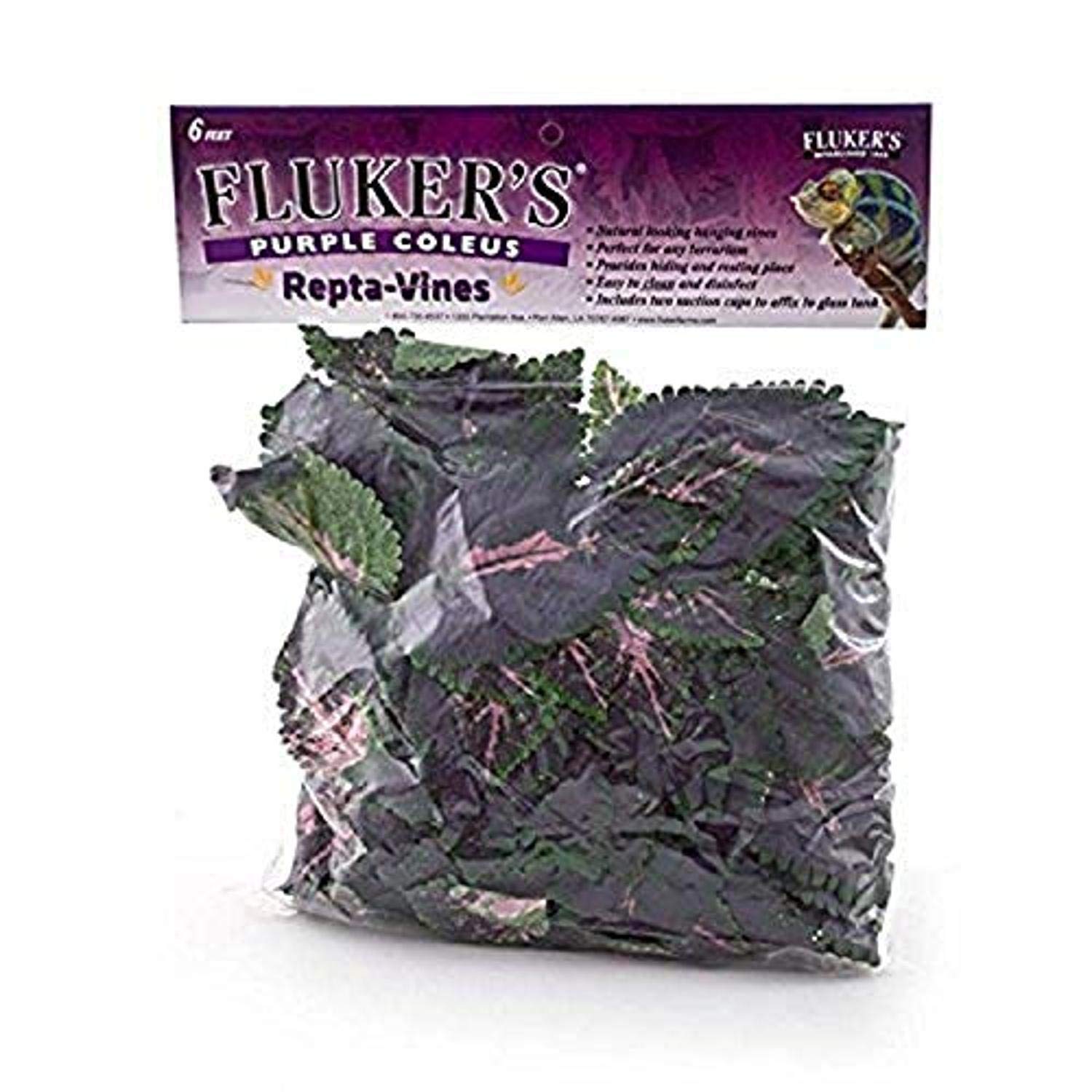 Fk 6Ft Purple Coleus Repti Vine