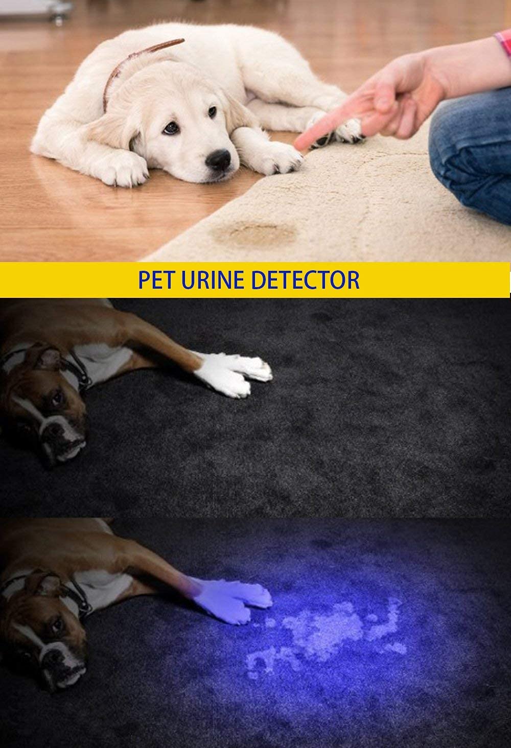 DARKBEAM UV Flashlight 395nm - Portable Blacklight Detector for Pet Stains, 2 Pack, Aluminum, Model SK68