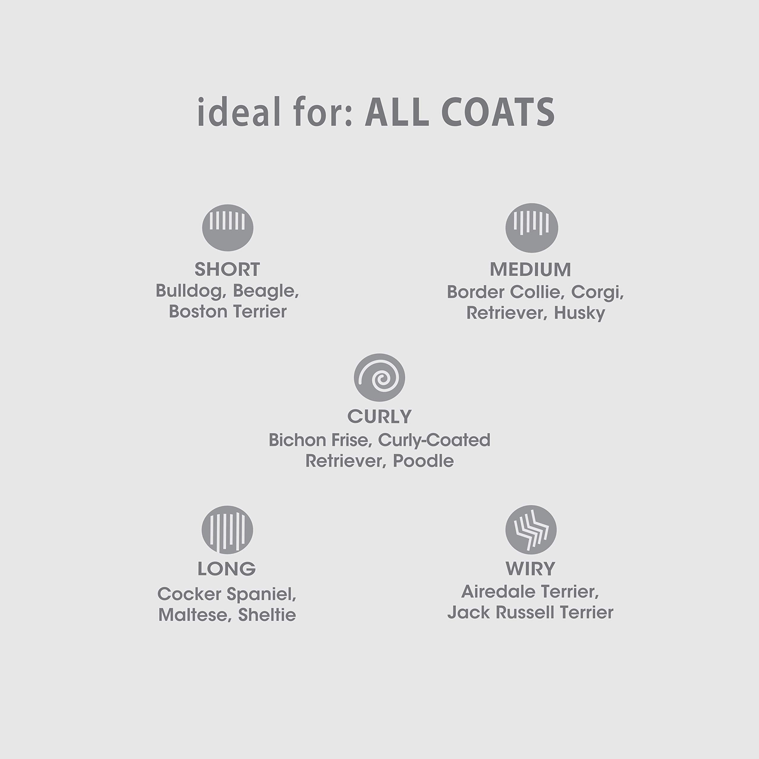 Four Paws Magic Coat Dog Shampoo, 16 oz, Plastic - Made in USA, Dog Grooming & Bathing Supplies