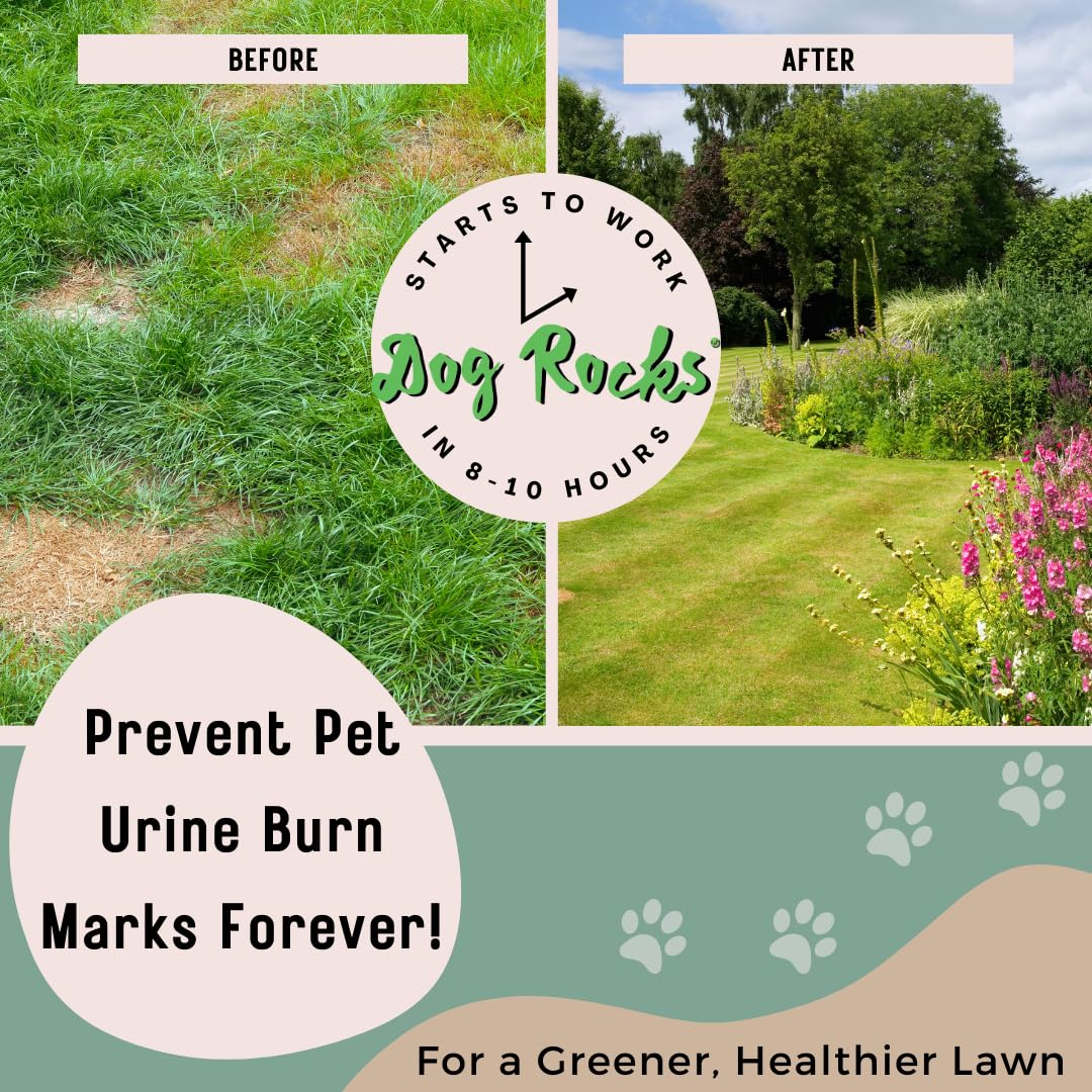 Dog Rocks for Urine Burning Grass - 200g Natural Pet Rock to Help Maintain Green Lawn - Grass Savers for Dog Urine - 2 Month Sup