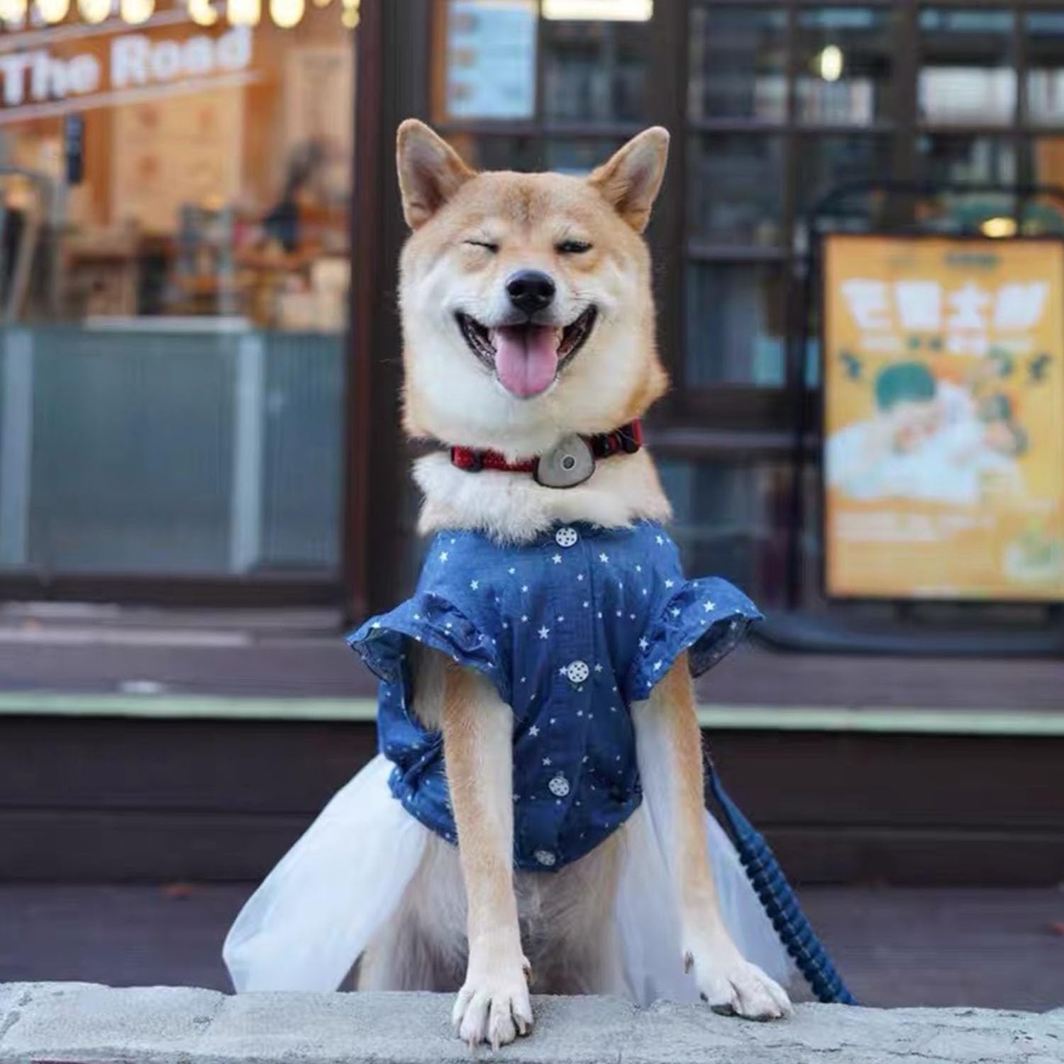 Polka Dot Big Large Dog Princess Dress Tutu Skirt Golden Retriever Pitbull Summer Dog Clothes Hoodie Costume (Xxl, Blue)