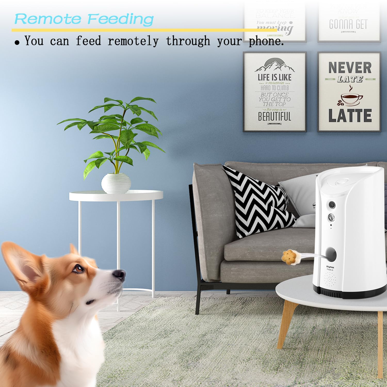 SKYMEE Dog Camera Treat Dispenser - WiFi HD Pet Camera with Two-Way Audio, Night Vision, 1 Count, White