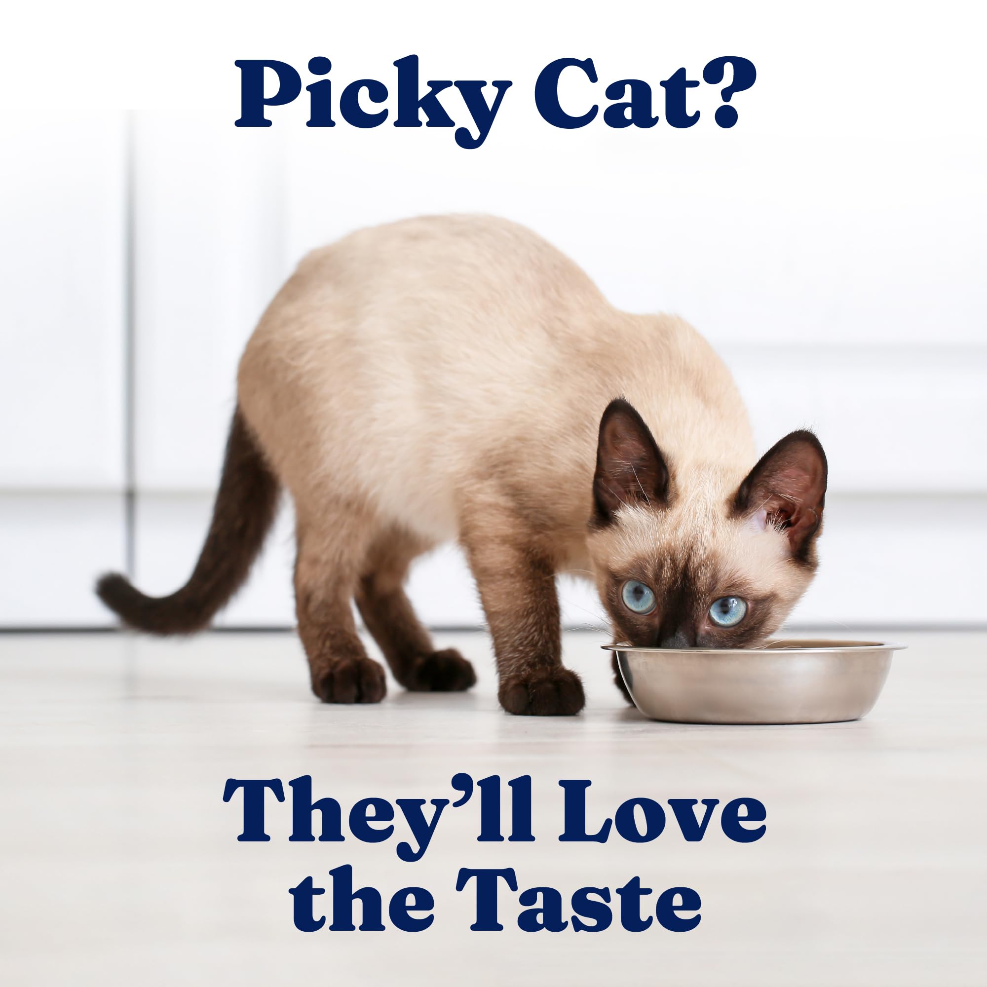 Solid Gold Wet Cat Food Shreds in Gravy - Canned Cat Food Made w/Real Tuna & Shrimp - Five Oceans Grain Free 24ct/3oz Can