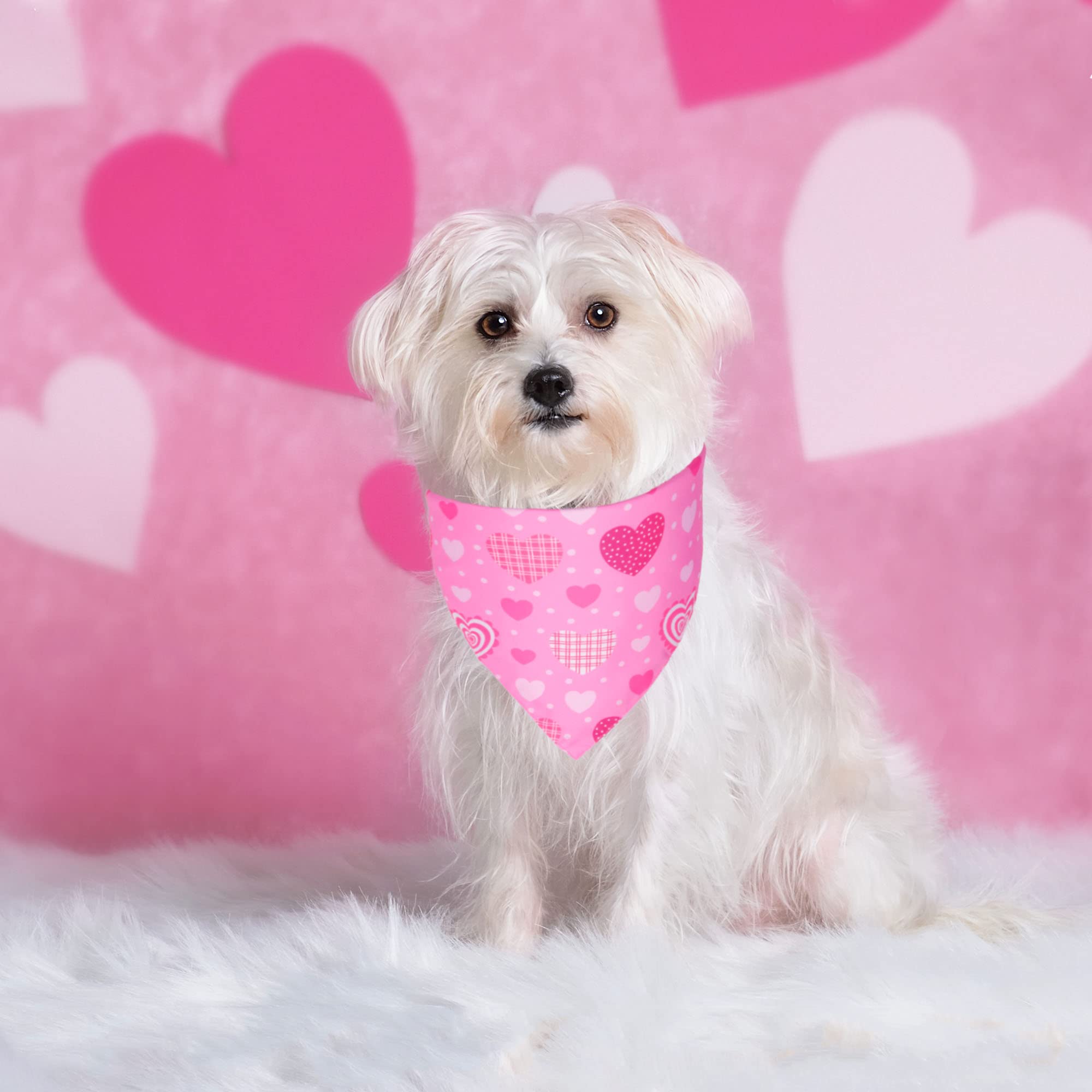Adoggygo Valentine Dog Bandana, Multiple Sizes Offered, Triangle Dog Scarf Valentine Bandana For Medium Large Dogs (Large)