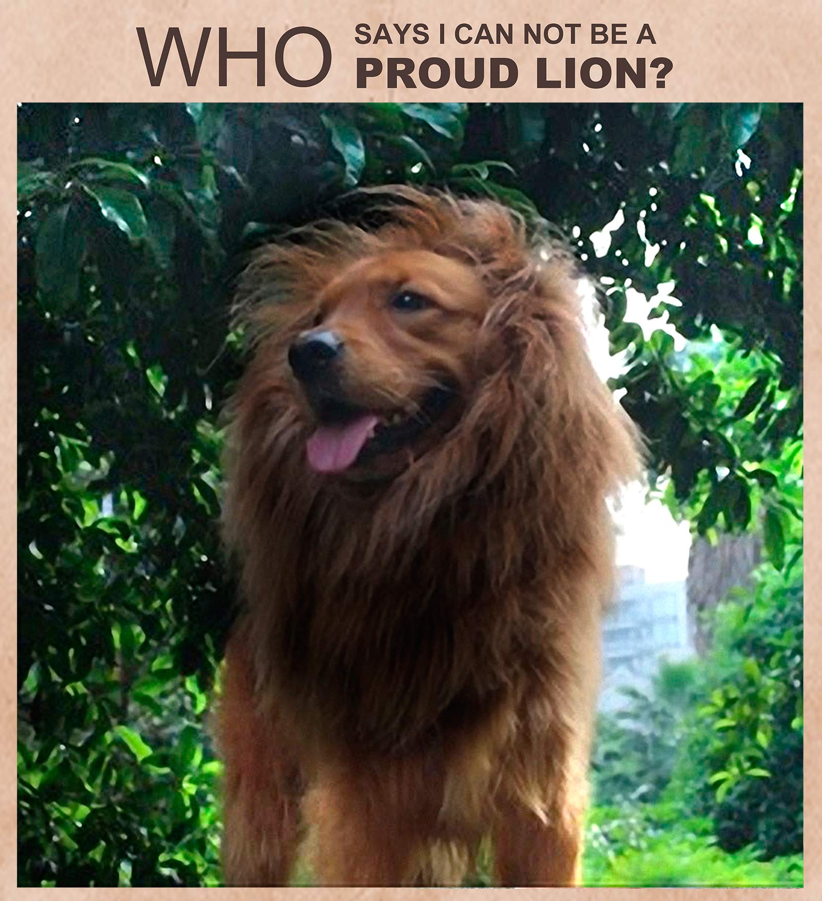 Onmygogo Lion Mane Wig For Dogs With Ears, Funny Pet Costumes For Halloween Christmas (Size L, Coffee)