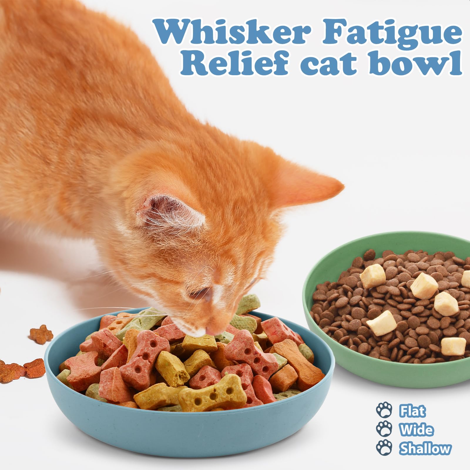 Tioncy 24 Pieces Fatigue Relief Cat Bowl Shallow Cat Food Dish Wide and Small Plate Wide Stray Wet Feeding Bowl for Ferrets Fera