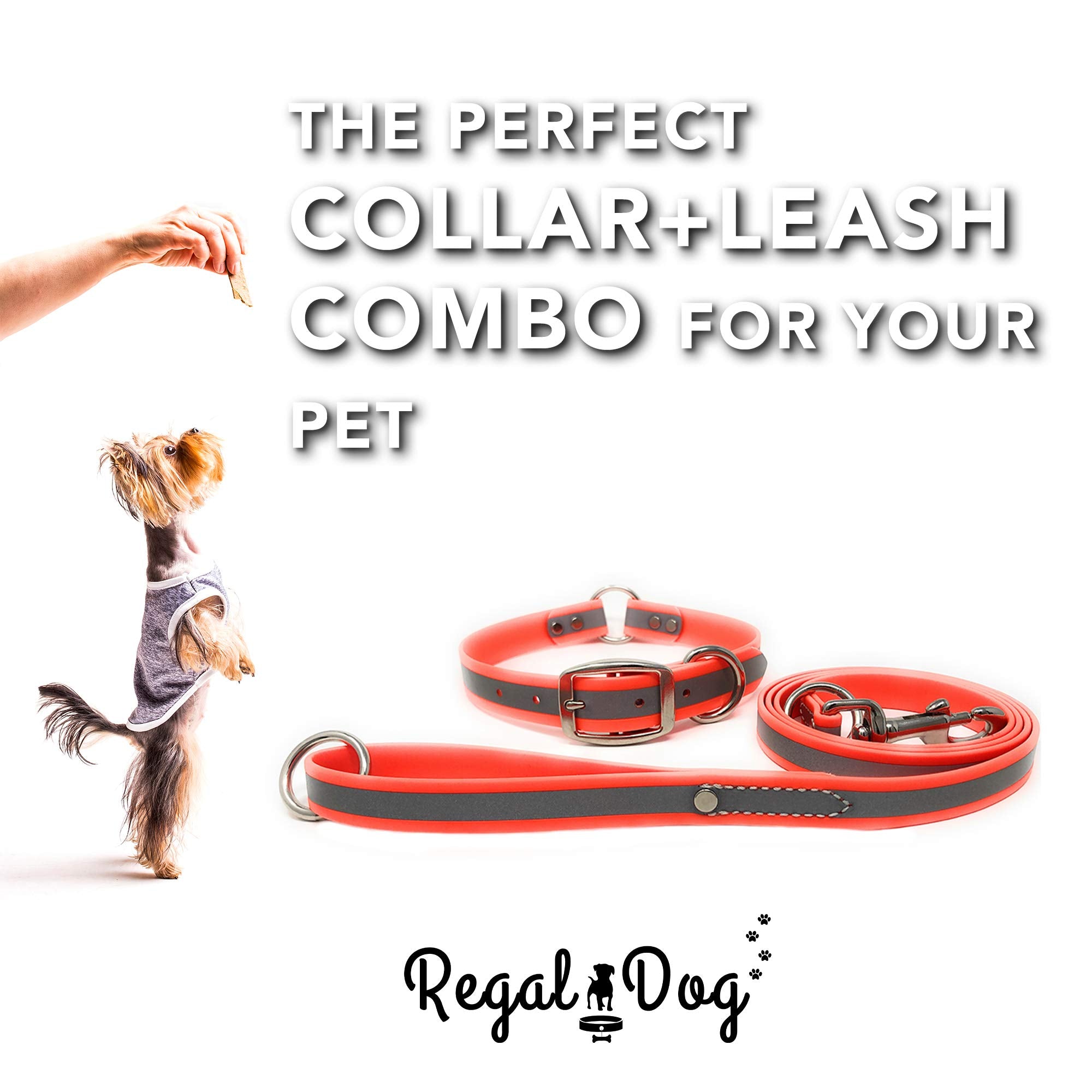 Regal Dog Products Medium Orange Reflective Dog Collar And Leash Set - Waterproof Biothane Dog Collar With Heavy Duty D Ring, Center Ring & 5'Ft Leash For Training - Other Sizes For Small & Large Dogs