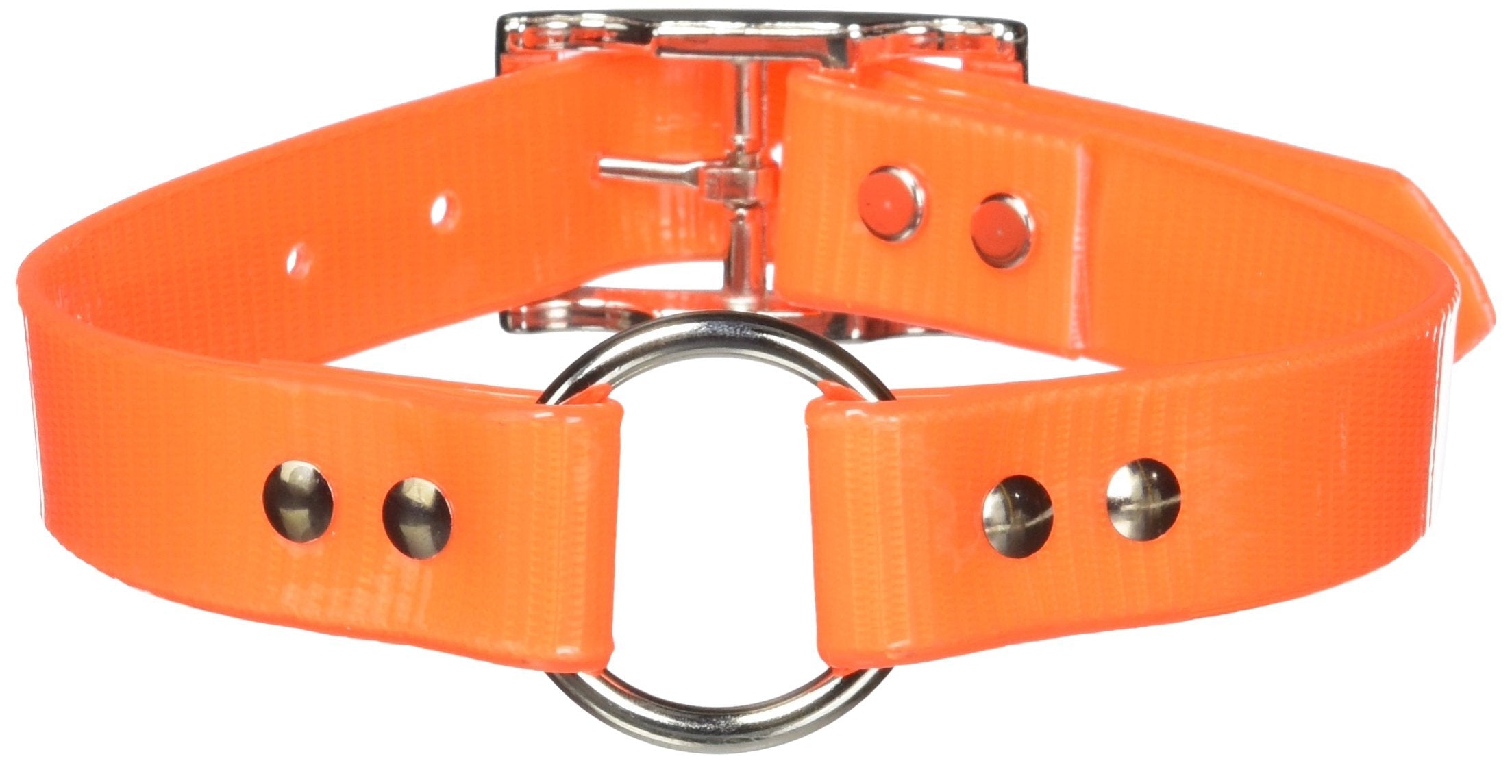 Omnipet Sunglo Ring-In-Center Dog Collar, 1' Wide, Orange, Fits 14.5'- 18' Neck Sizes, Vibrant Colors & Tough Construction Fo