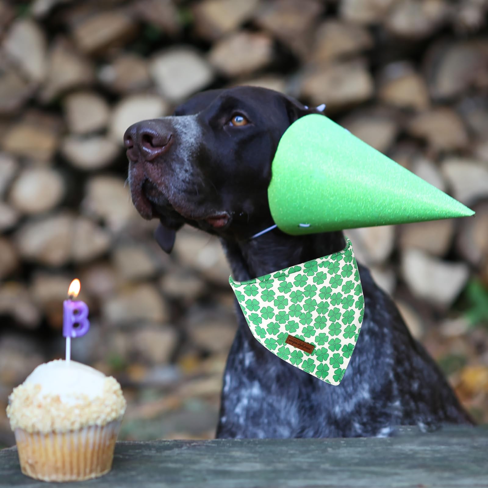 Unique Style Paws Dog St. Pat Bandanas 2Pcs Washable Cotton Triangle Green Clover Magic Hat Dog Scarfs For Small Medium Large Do