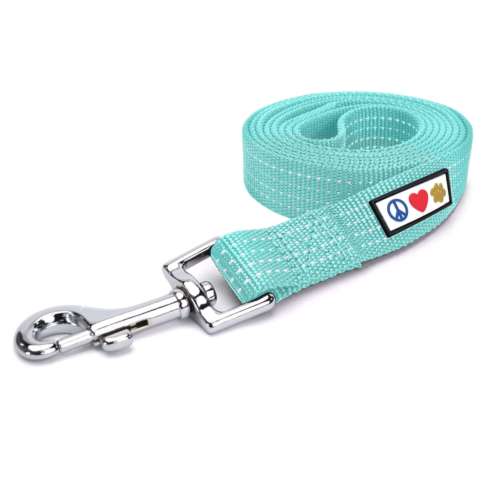 Pawtitas 6 Ft Dog Leash - Reflective, Comfortable Handle, Heavy Duty Training Leash, Small Dog, Teal