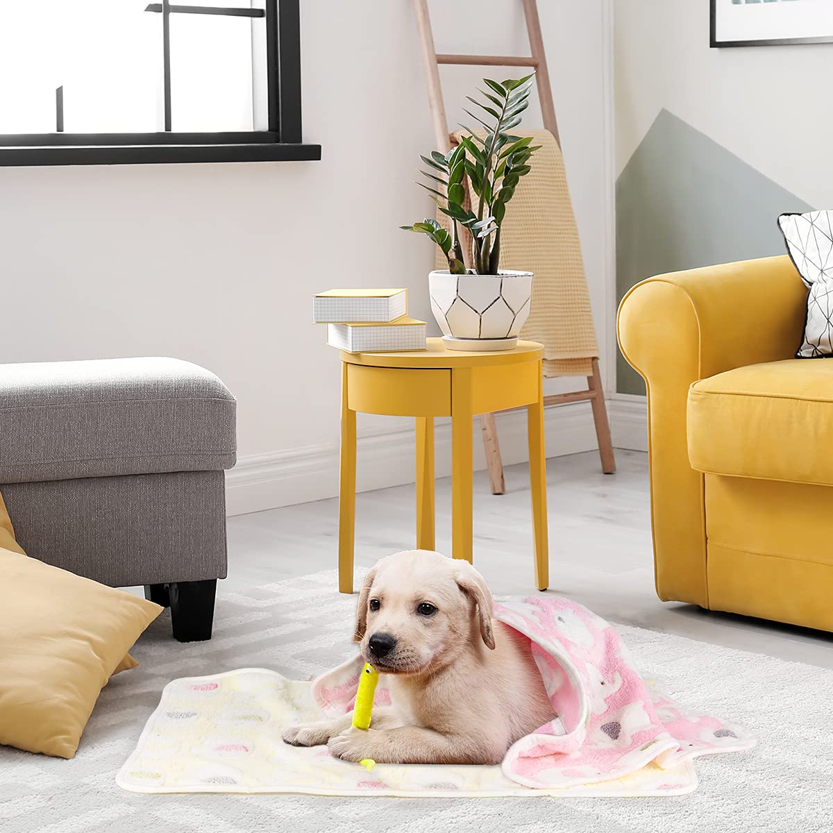 Dono 1 Pack 3 Dog Blankets, Soft Fluffy Fleece Pet Blanket Warm Sleep Mat Paw Print Design Puppy Kitten Throw Blanket Doggy Mat, Blanket For Dogs