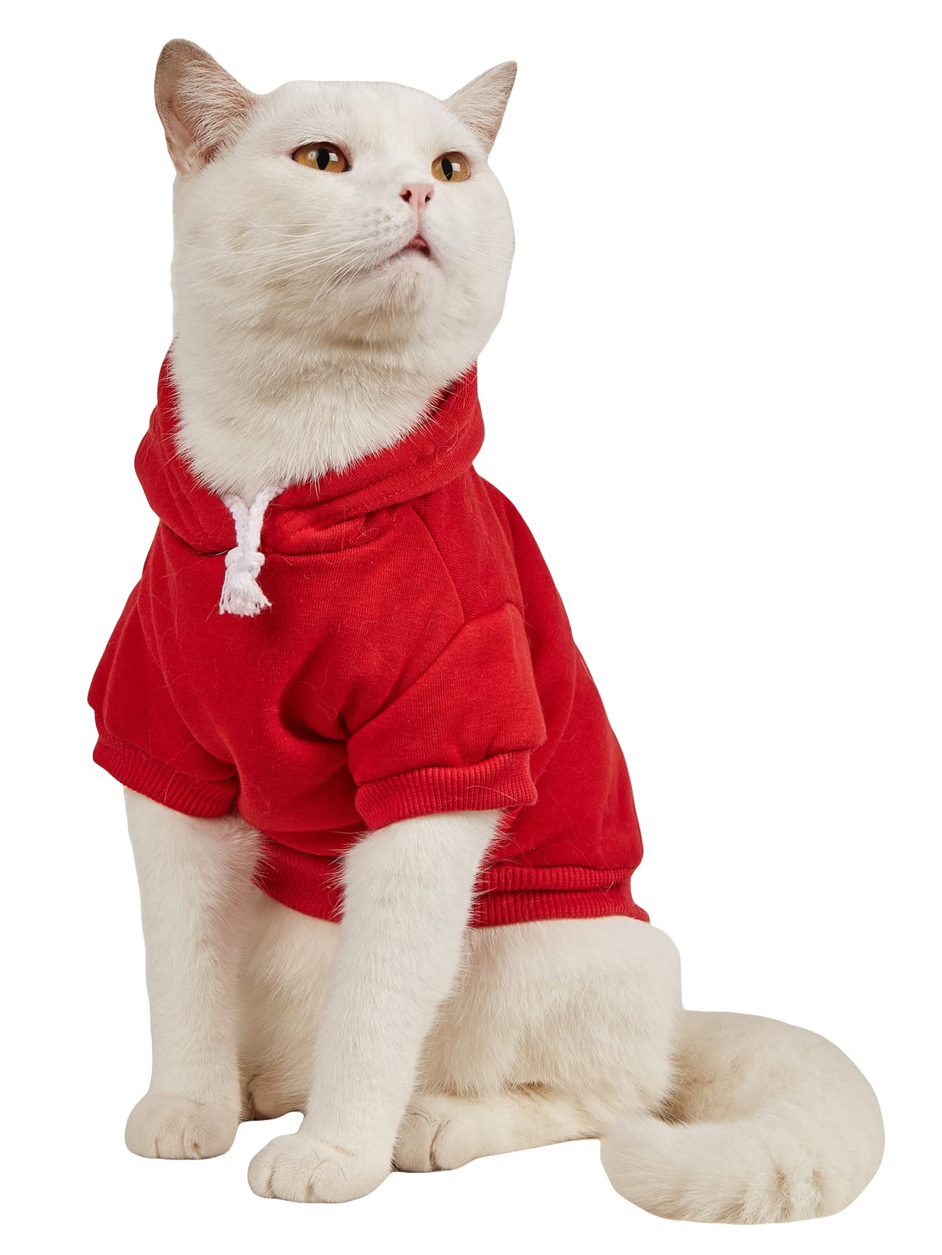 Qweee Basic Dog Hoodie, Cat Apparel, Dog Shirt, Red M