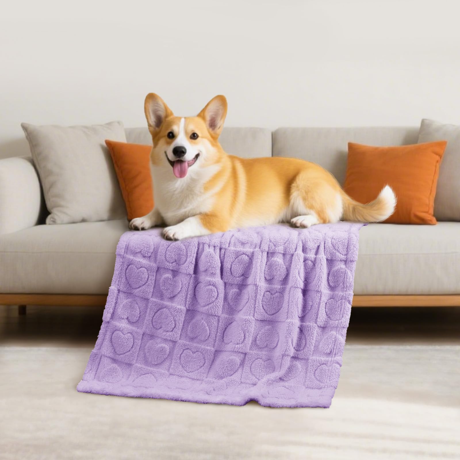 Luciphia Small Dog Blanket Washable Pet Bed Cover Soft Fluffy Puppy Blanket with Premium Fleece 300GSM Cozy Calming Cat Blankets