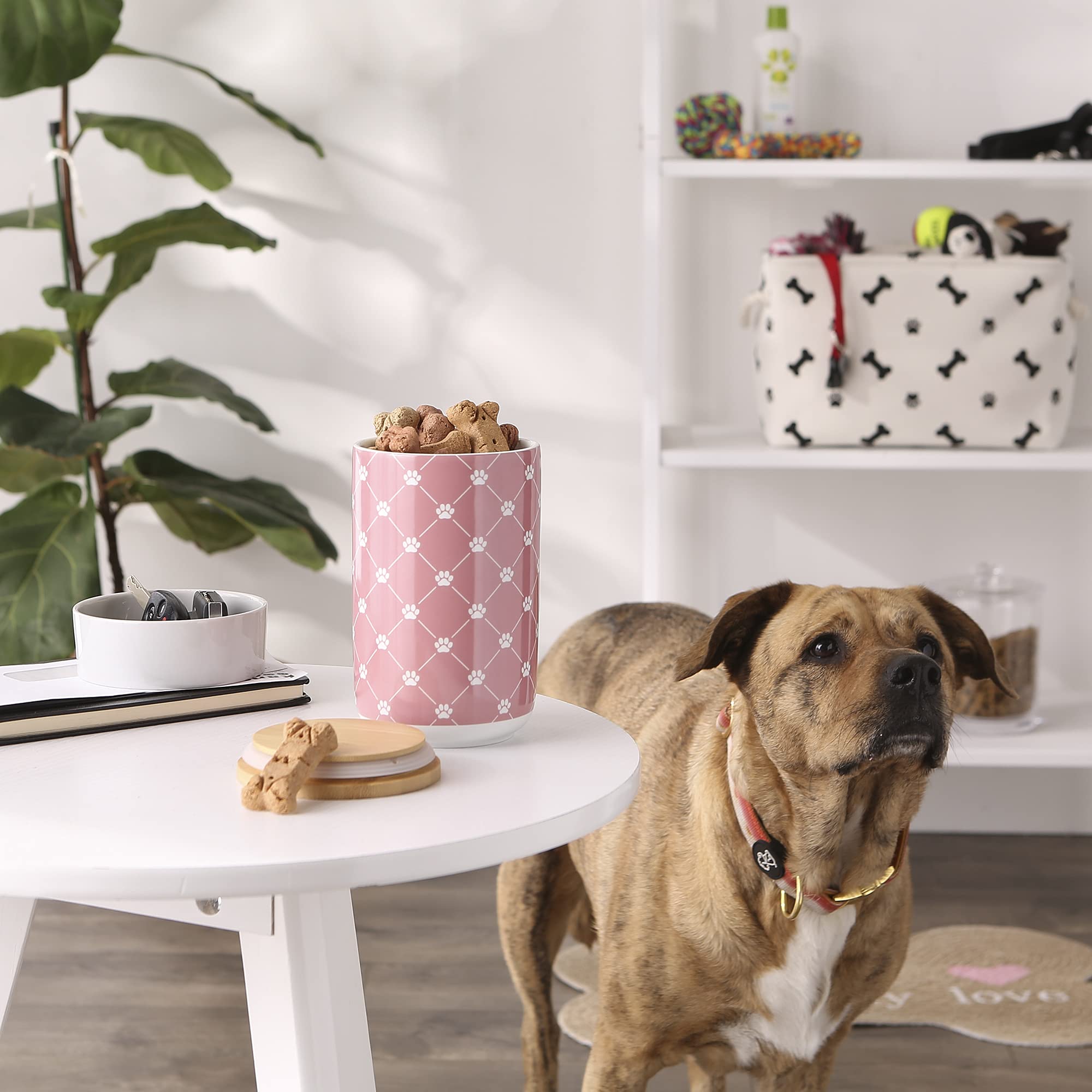 Bone Dry Trellis Paw Print Pet Treat Canister with Bamboo Lid Dog & Cat Treat Jar for Countertop Storage, Keep Training Bones &