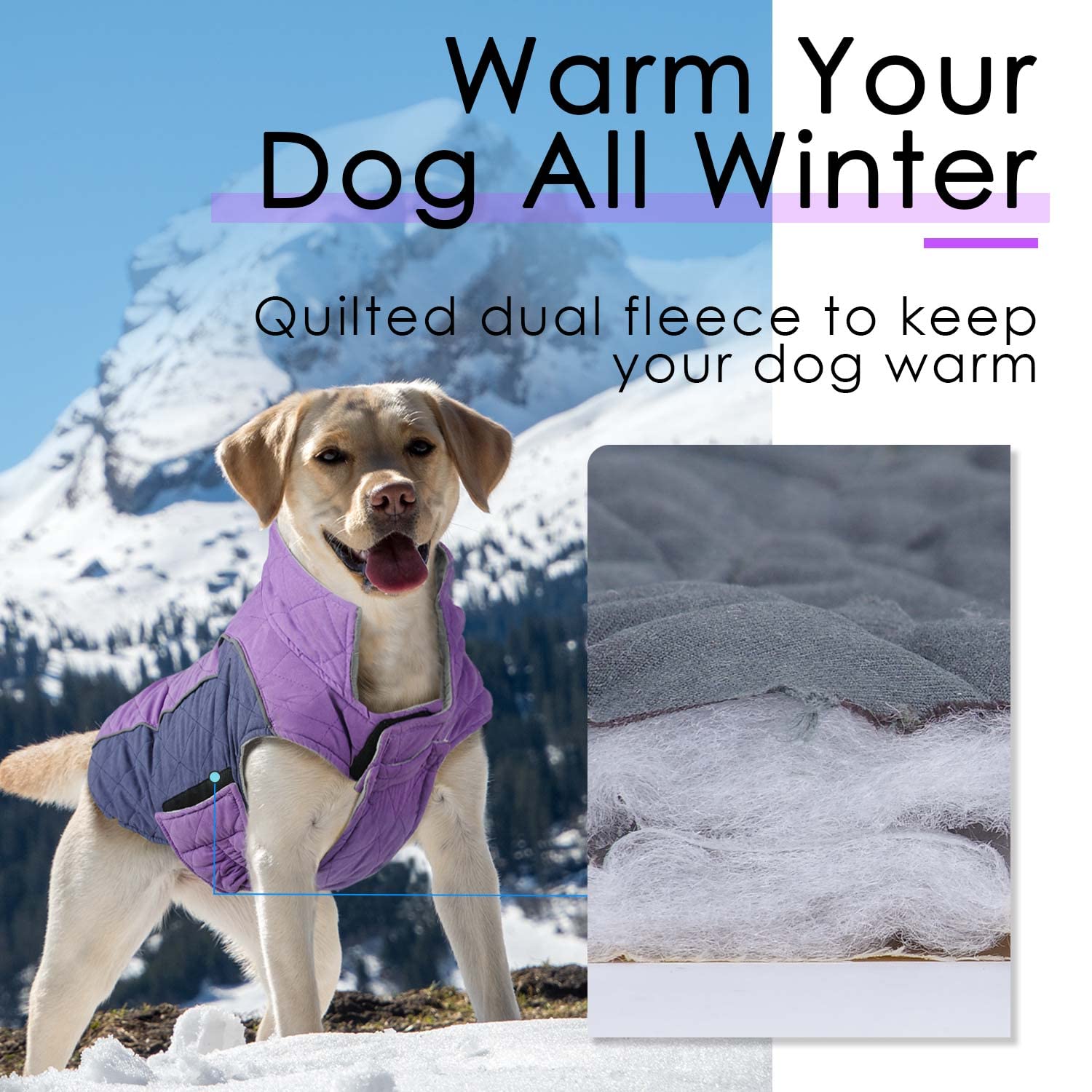 Thinkpet Dog Cold Weather Coats - Cozy Waterproof Windproof Reversible Winter Dog Jacket, Thick Padded Warm Coat Reflective Vest Clothes For Puppy Small Medium Large Dogs