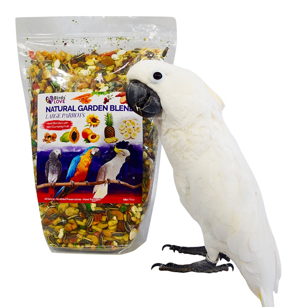 Birds LOVE All Natural Garden Blend Bird Food for Parrots, 2lb - Healthy, Nutritious Mix for Optimal Parrot Health