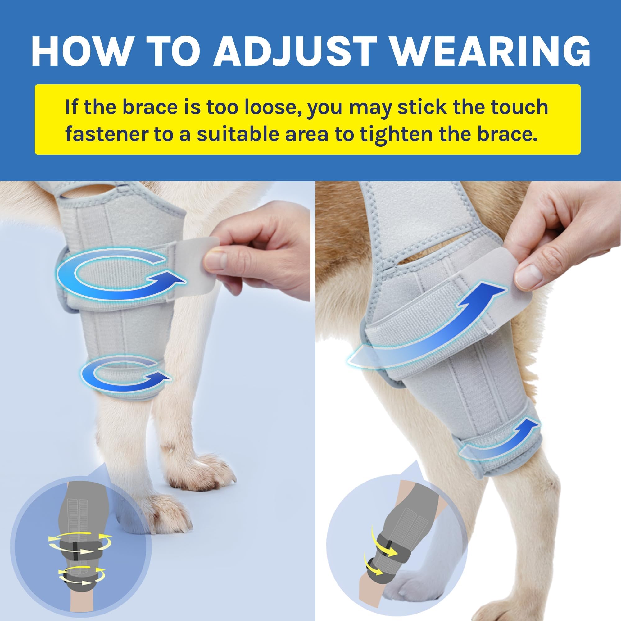 MerryMilo Dog Knee Brace, Support for Large and Small Dogs with ACL, CCL, Cruciate Ligament Injuries, Patella Dislocation, or Os