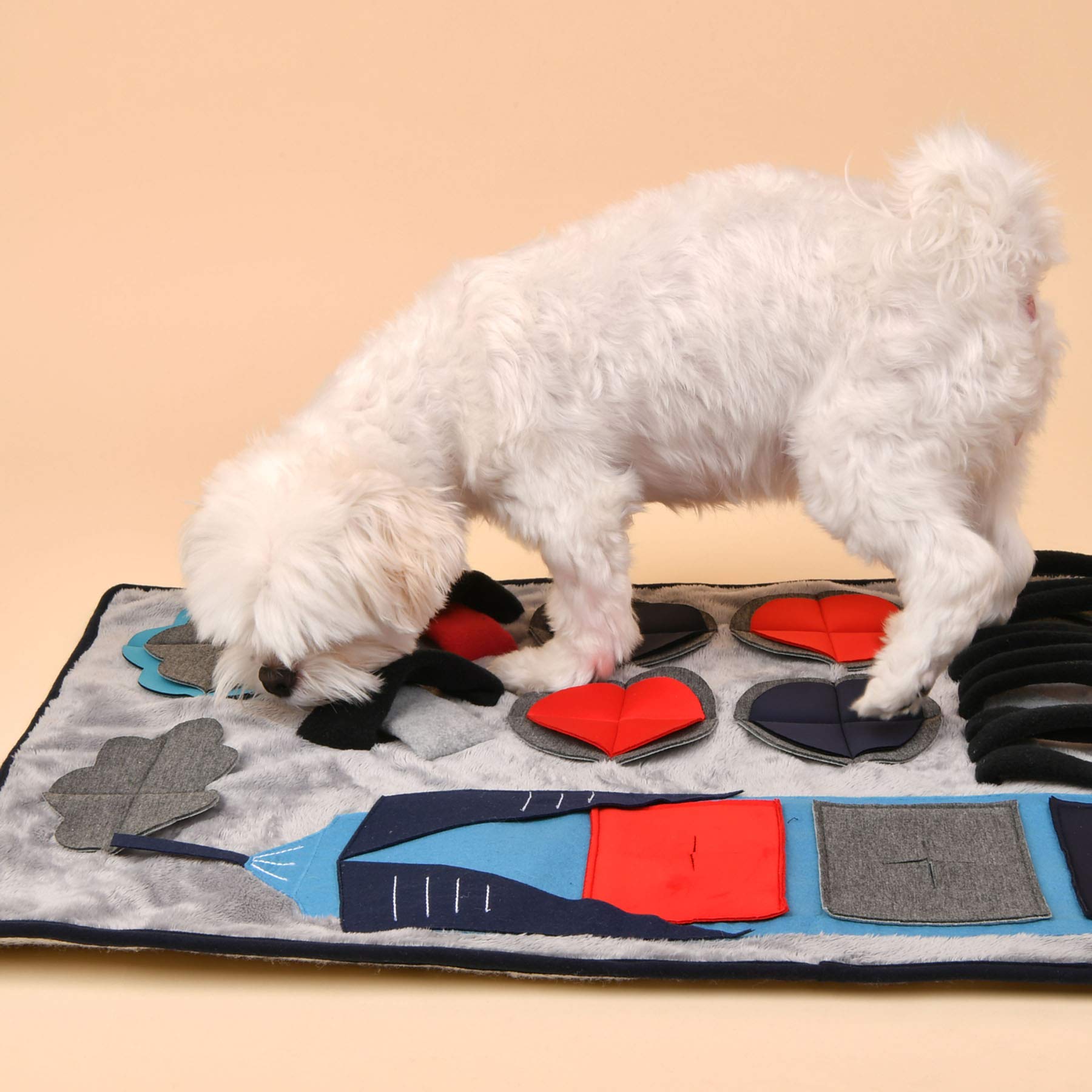 Puppia PUPTROPOLIS - Grey&Navy - L (PAUD-NW1867-GN-L)