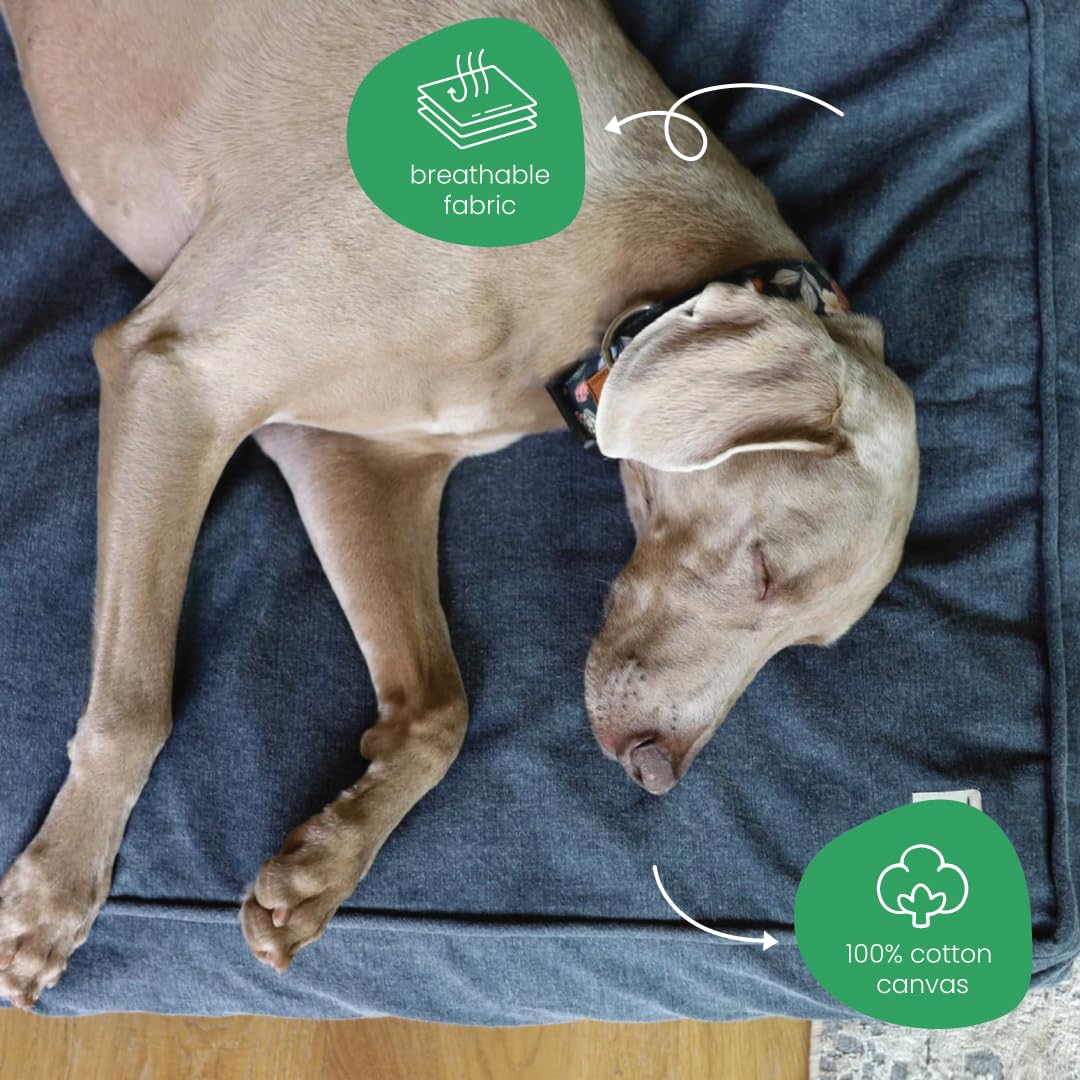 Molly Mutt Dragonstone Dog Bed Duvet Cover, Gots-Certified 100% Cotton Canvas Cover For Dog, Puppy, Or Cat Bed, Durable, Washabl
