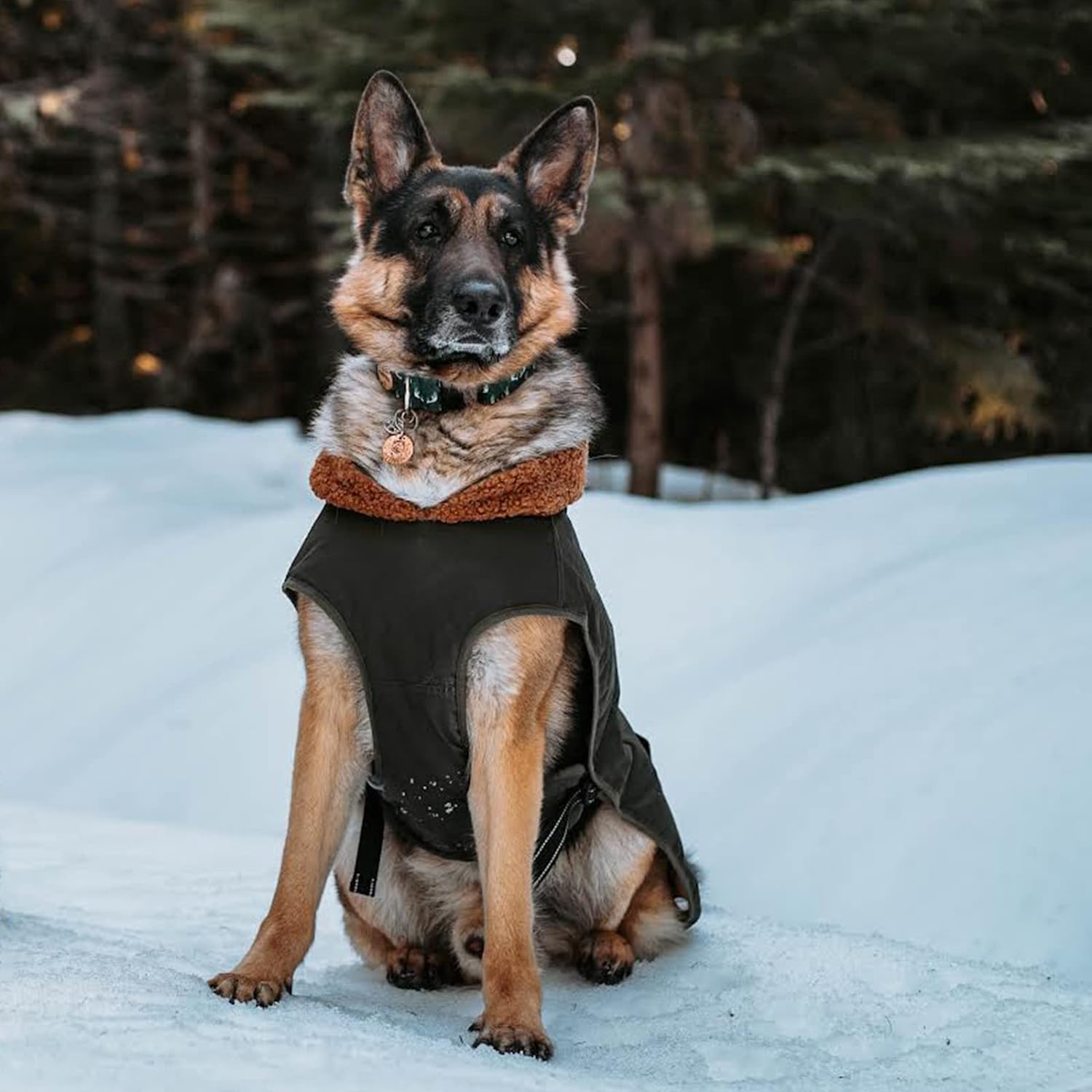 IREENUO Dog Coat - Waterproof Jacket for Medium Large Dogs, Cozy Cotton Fur Nylon, 3XL, Green, Model JX-DE-DOG FLIGHT SUIT
