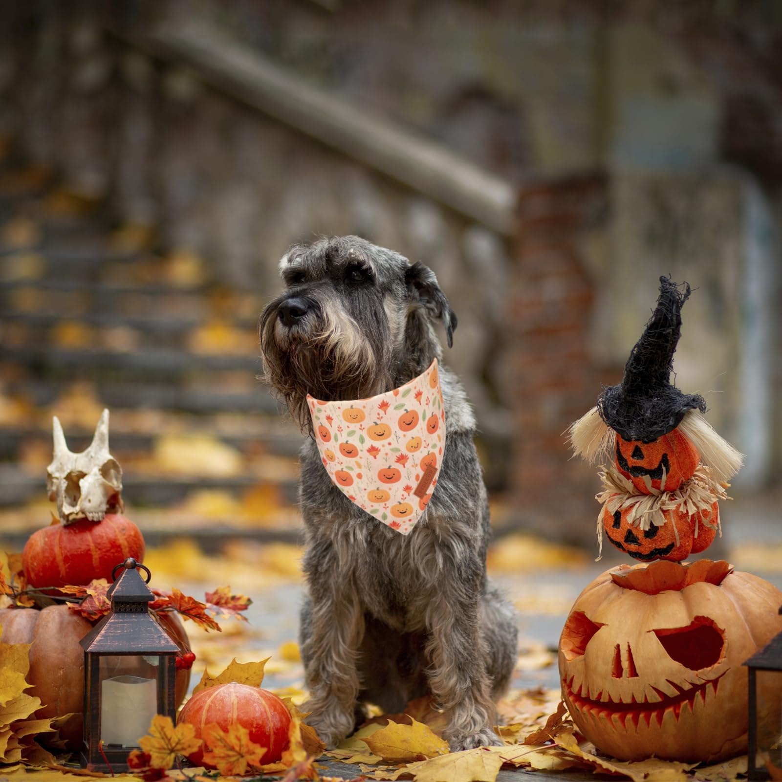 Ptdecor Halloween Dog Bandana, Ghost Pumpkin Design Reversible Holiday Dog Scarf, Triangle Halloween Bandanas For Small Dogs Pup
