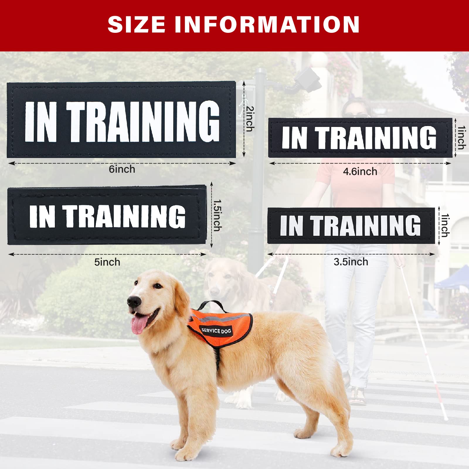 2Pack Service Dog Patch, Black Patches With Hook Backing For Dog Harness, Removable Vest Patches For Dogs, In Training-M