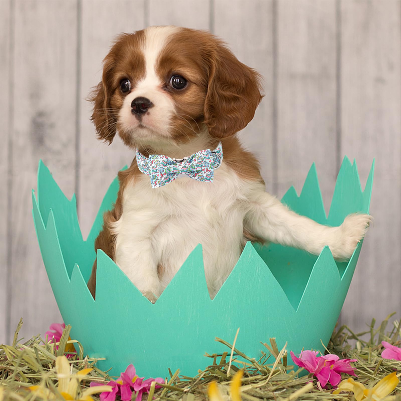 Babole Pet Easter Dog Collar With Bow Tie, Eggs Bowtie With Safety Metal Buckle, Cute Boy Girl Bunny Collar For Small Medium Dog