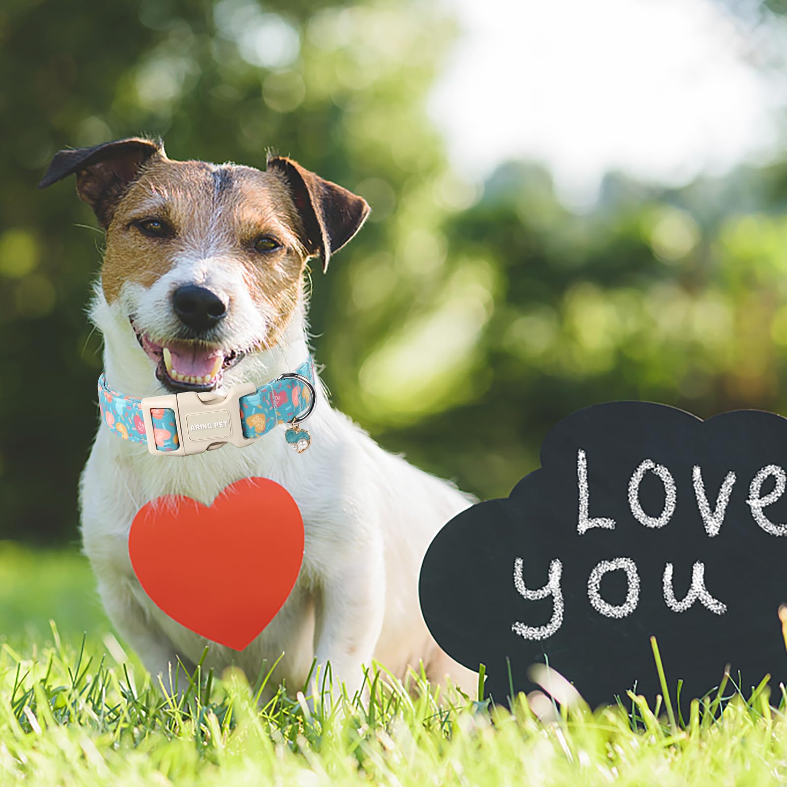 Aring Pet Valentine'S Day Dog Collar-Cute Blue Heart Dog Collars, Adjustable Valentine Heart Pet Collars Puppy Collar With Quick
