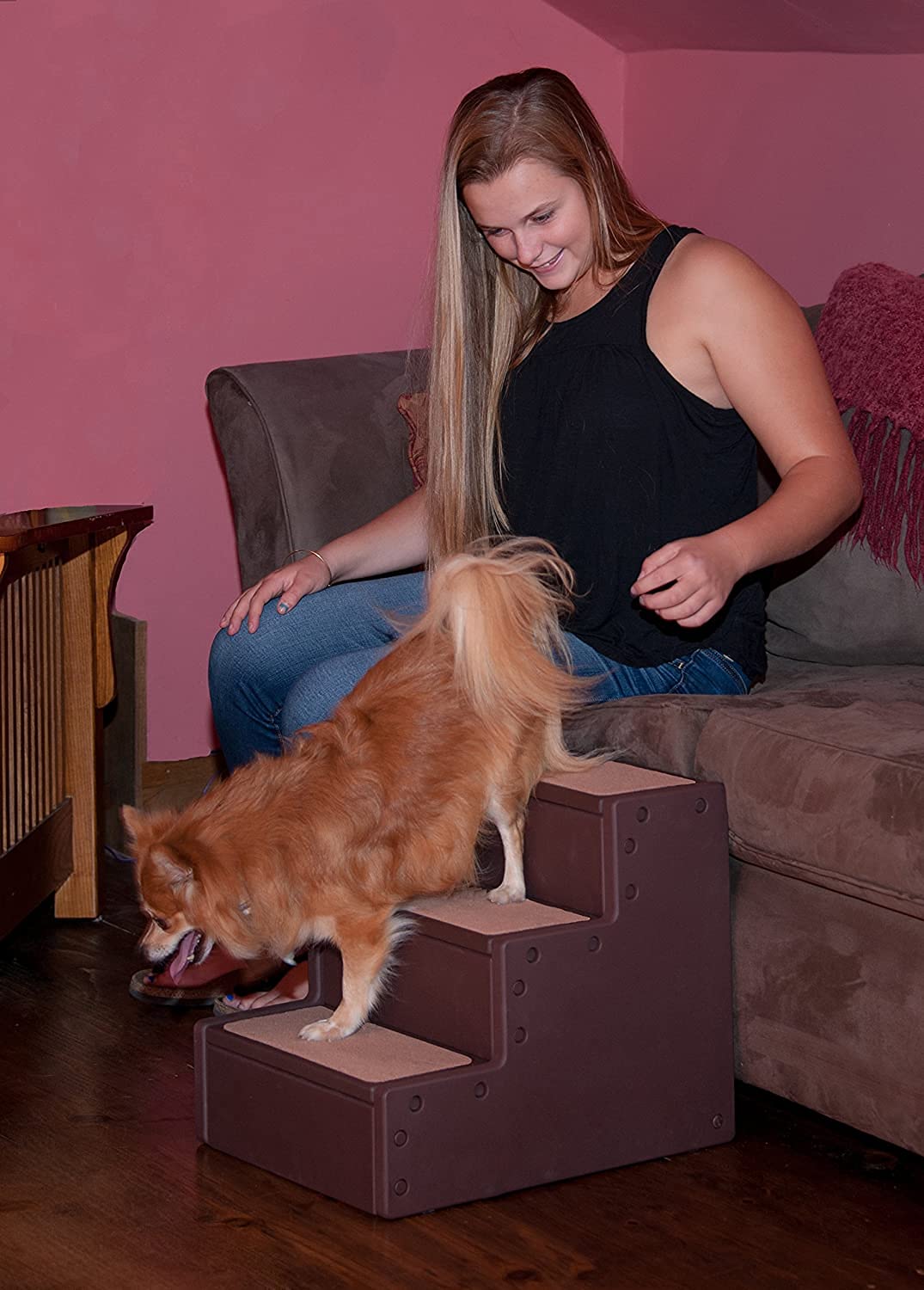Pet Gear Pet Step Iii Pet Stairs For Small Dogs And Cats Up To 50 Pounds, Lightweight, No Tools Required