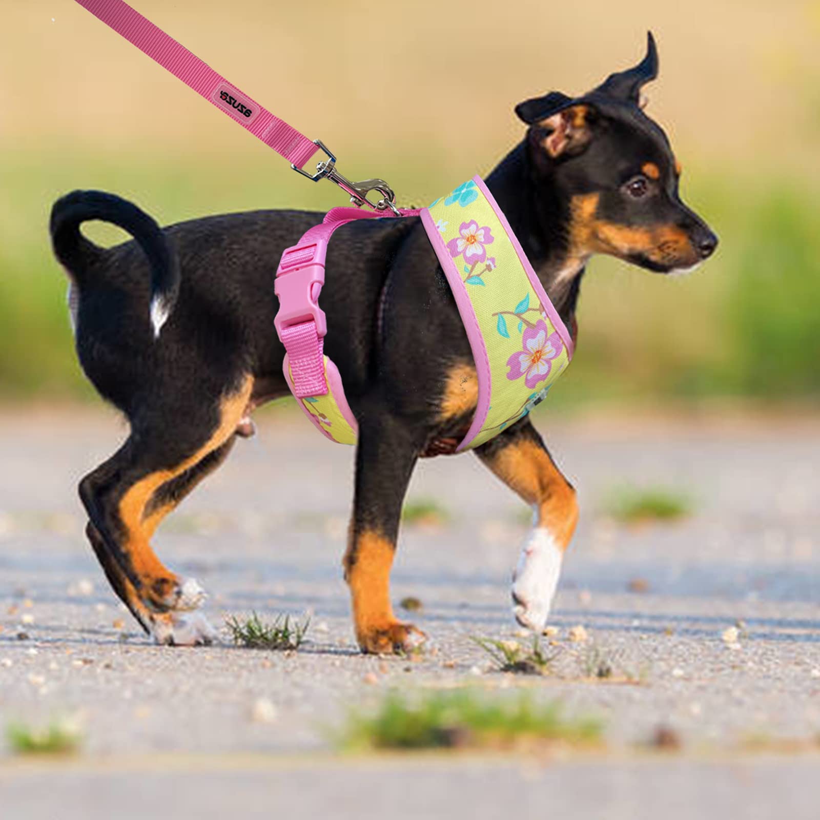 Azuza Dog Harness With Leash Set Cute Lemon Pineapple Flower Pattern Head-In Small Dog Harness Vests No Pull Comfort Padded Dog