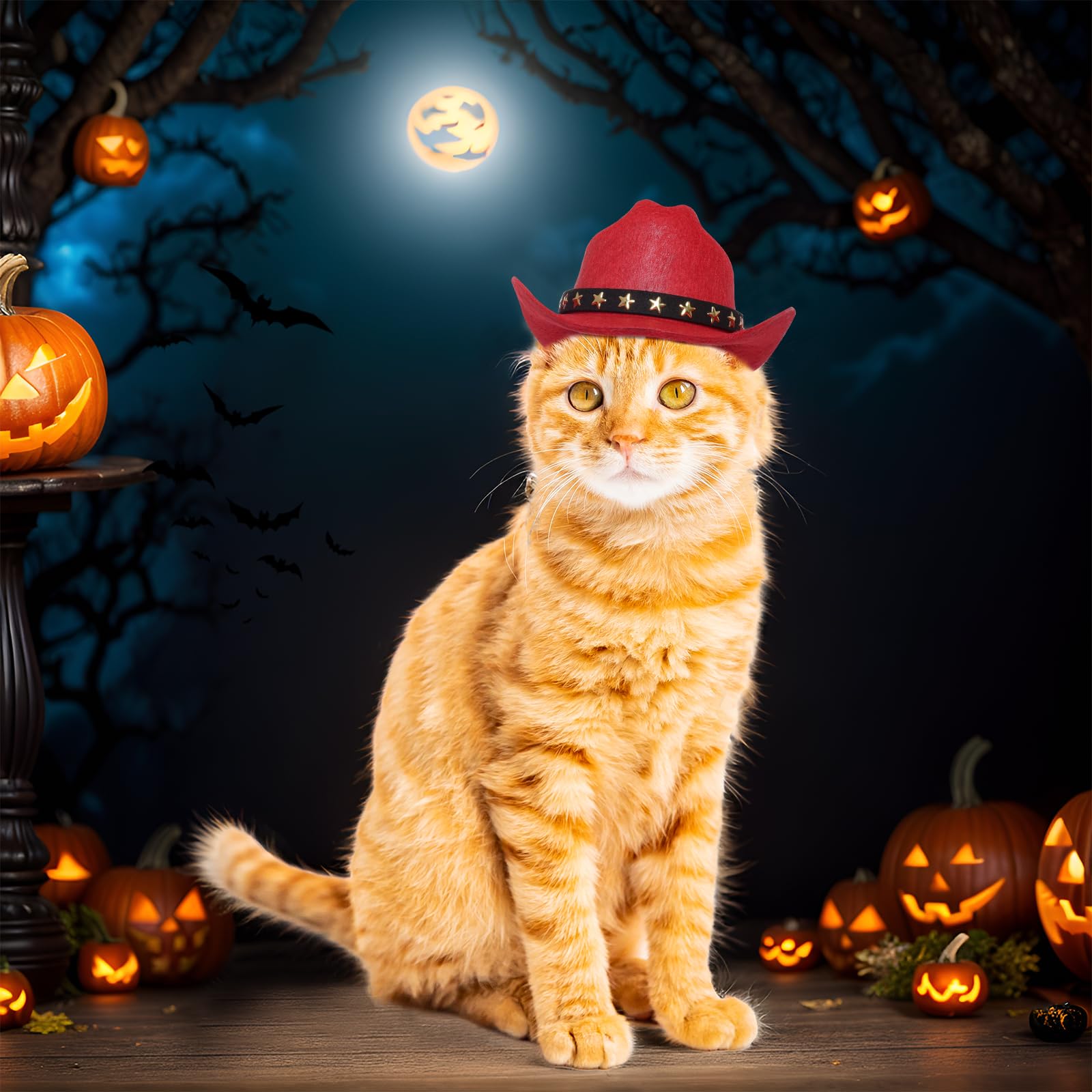 Choyaxo Pet Cowboy Costume Cosplay Cap Halloween Costumes For Dogs Cat Pet Party Decoration Mini Cowboy Hat (Red, Small)