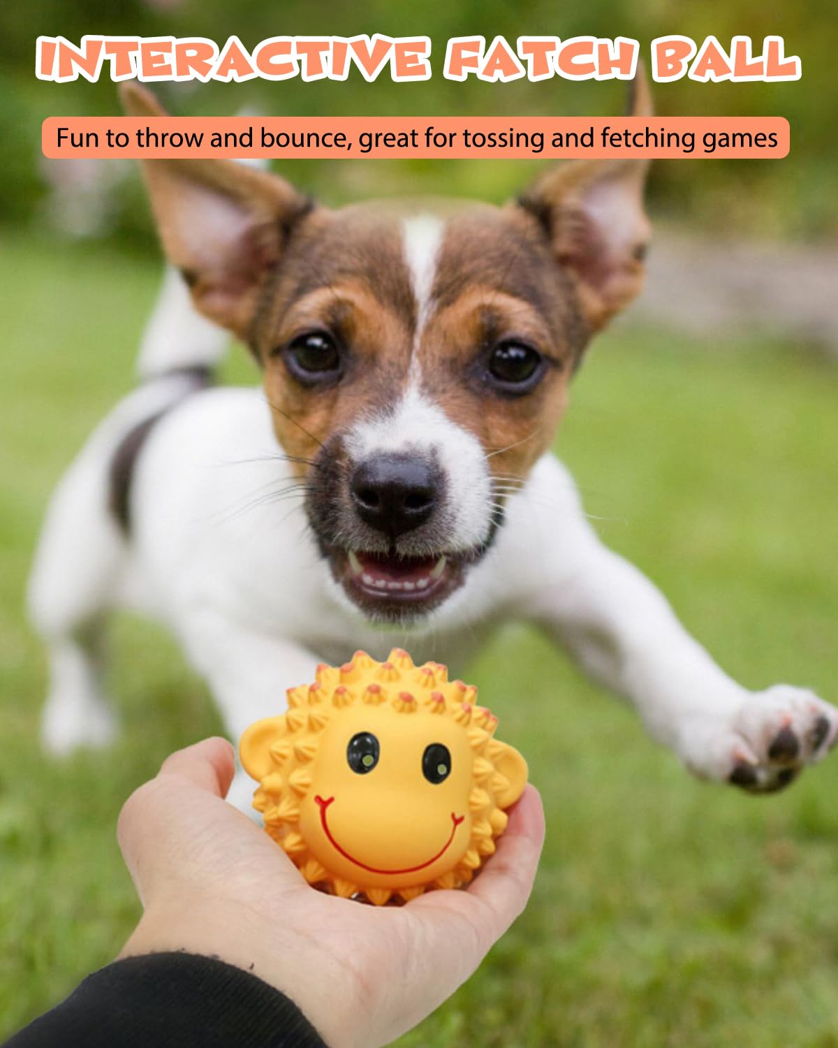 Schitec Squeaky Dog Toys, 3'' Interactive Latex Squeak Fetch Play Animal Balls, [2 Pack] Spiky Soft Rubber Puppy Teeth Clean Pet
