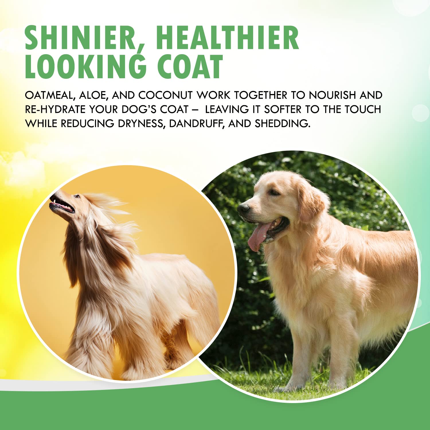 Wondurdog Fur Foam Dog Shampoo With Oatmeal, Coconut And Aloe. Hypoallergenic, Softens Coat, Moisturizes Dry Skin, Restores Shin