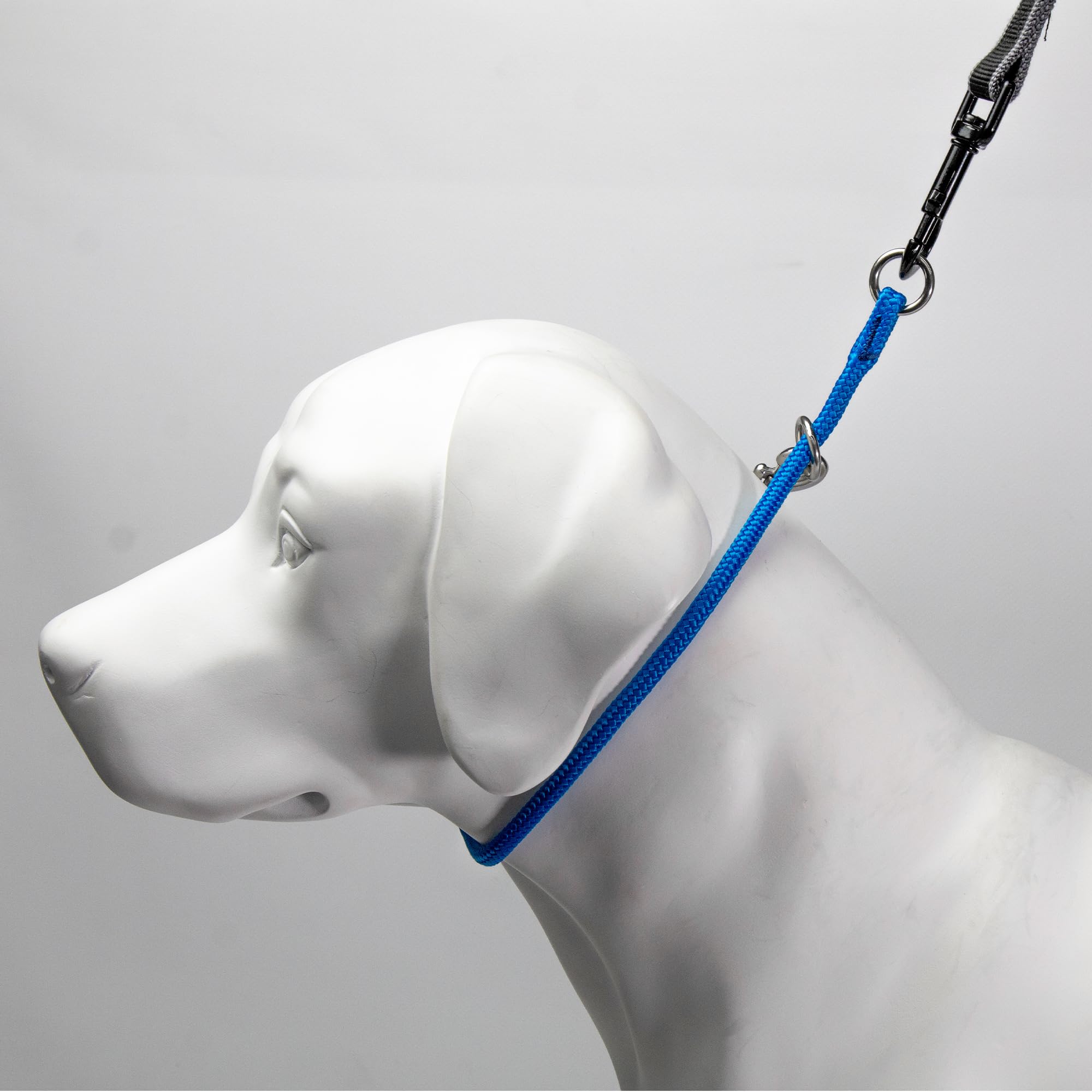 Dominant Dog Collar (15'', Pacific Blue)