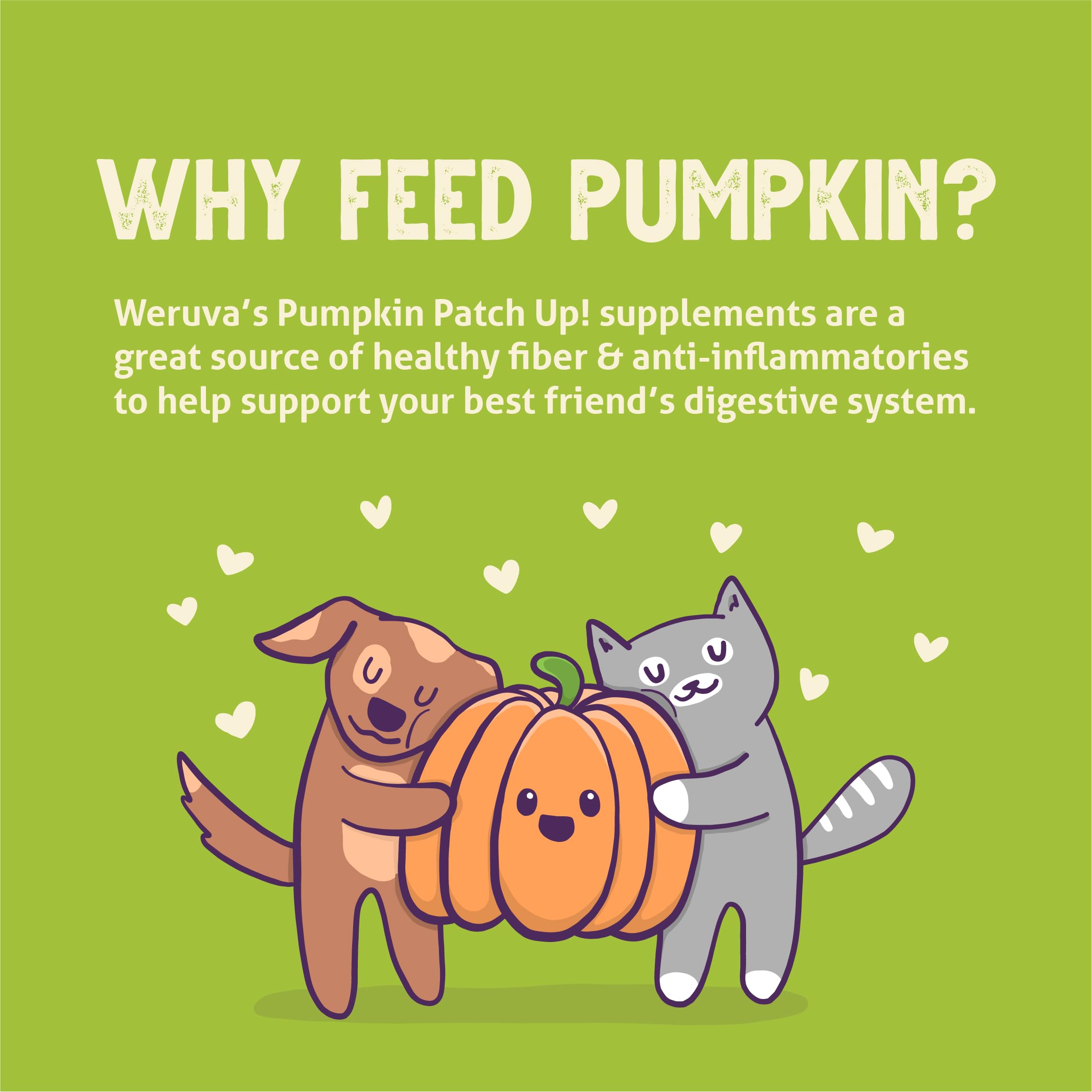 Weruva Pumpkin Patch Up!, Pumpkin Puree Pet Food Supplement for Dogs & Cats, 2.80oz Pouch (Pack of 12)